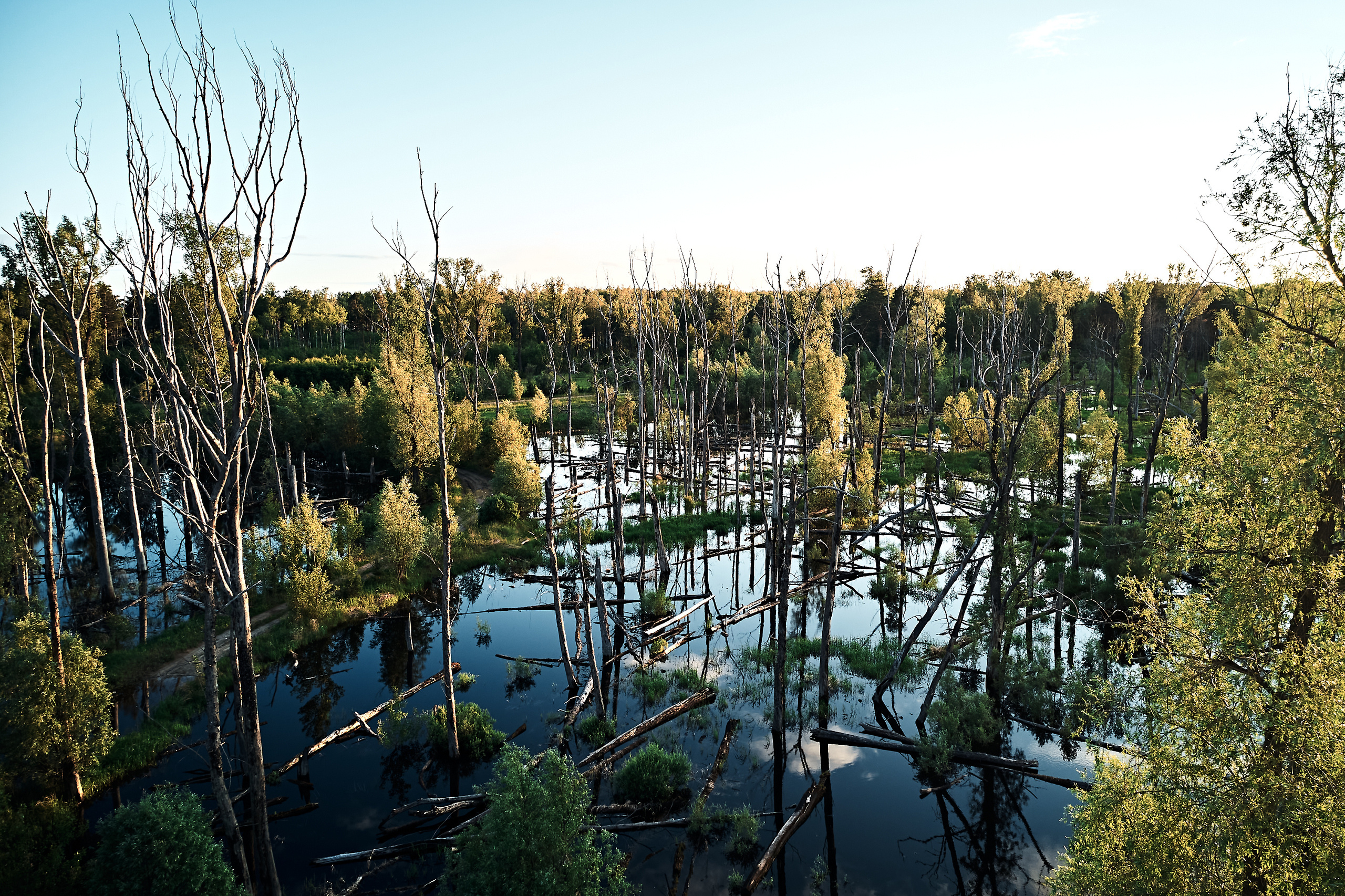Мост через Тавду. Бизнес портрет Аэросъемка Интерьерная съемка Тюмень