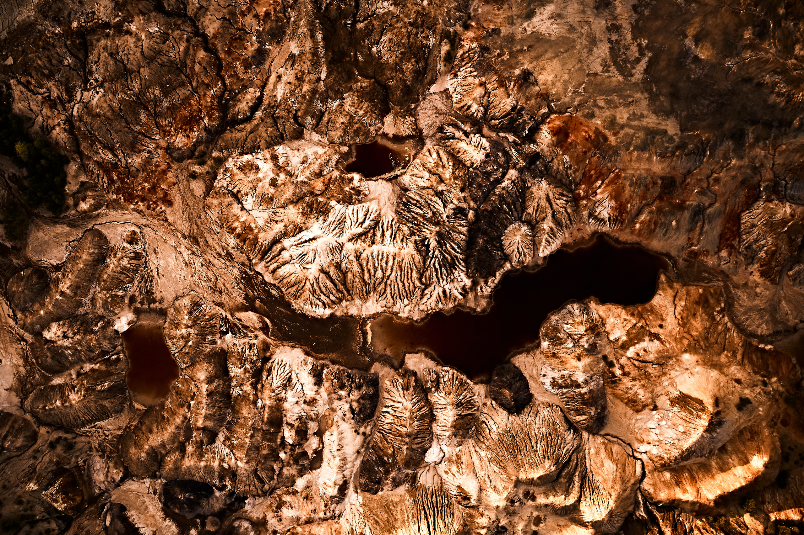 Марс. Бизнес портрет Аэросъемка Интерьерная съемка Тюмень