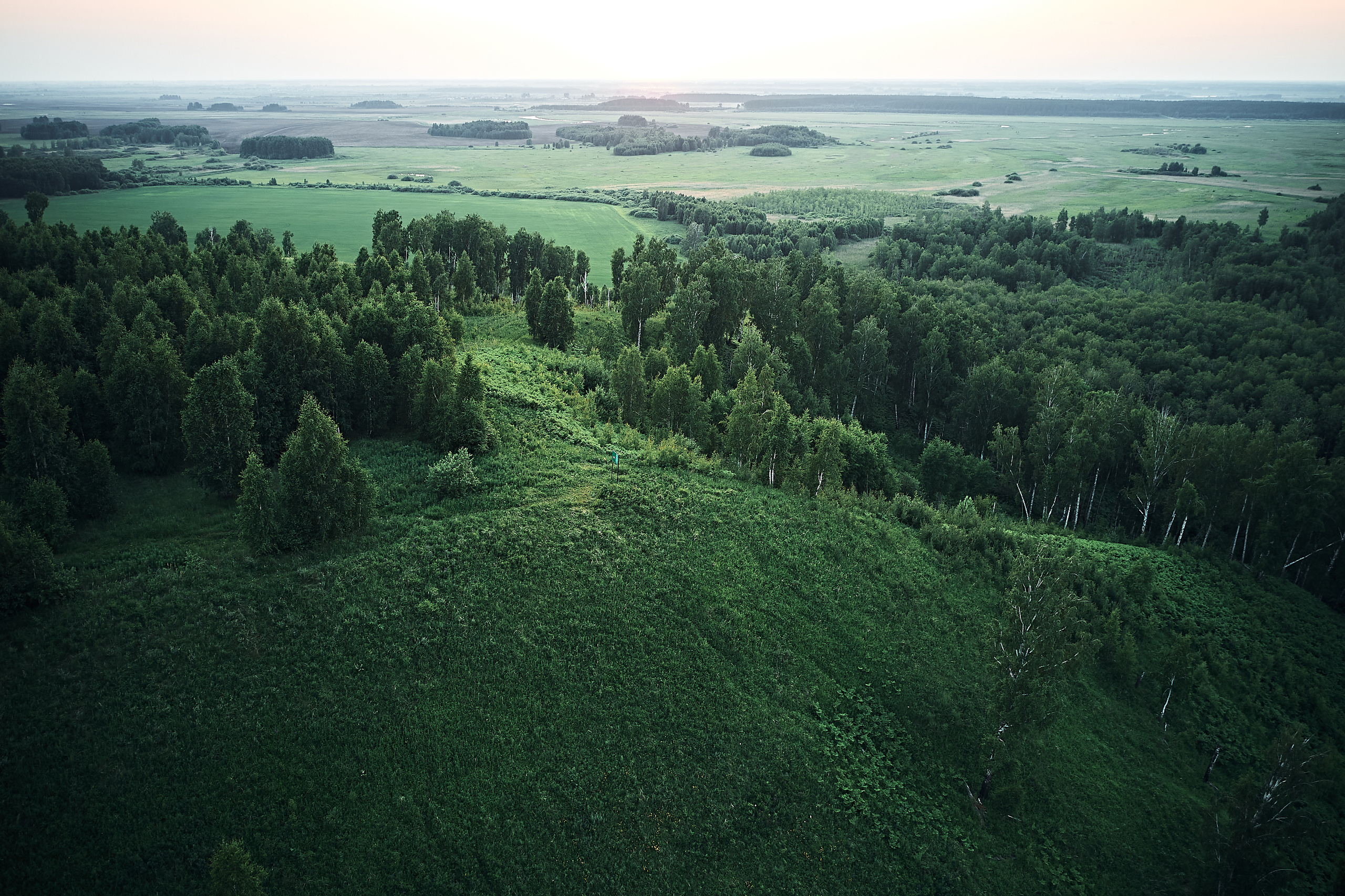 Папаротники. Бизнес портрет Аэросъемка Интерьерная съемка Тюмень