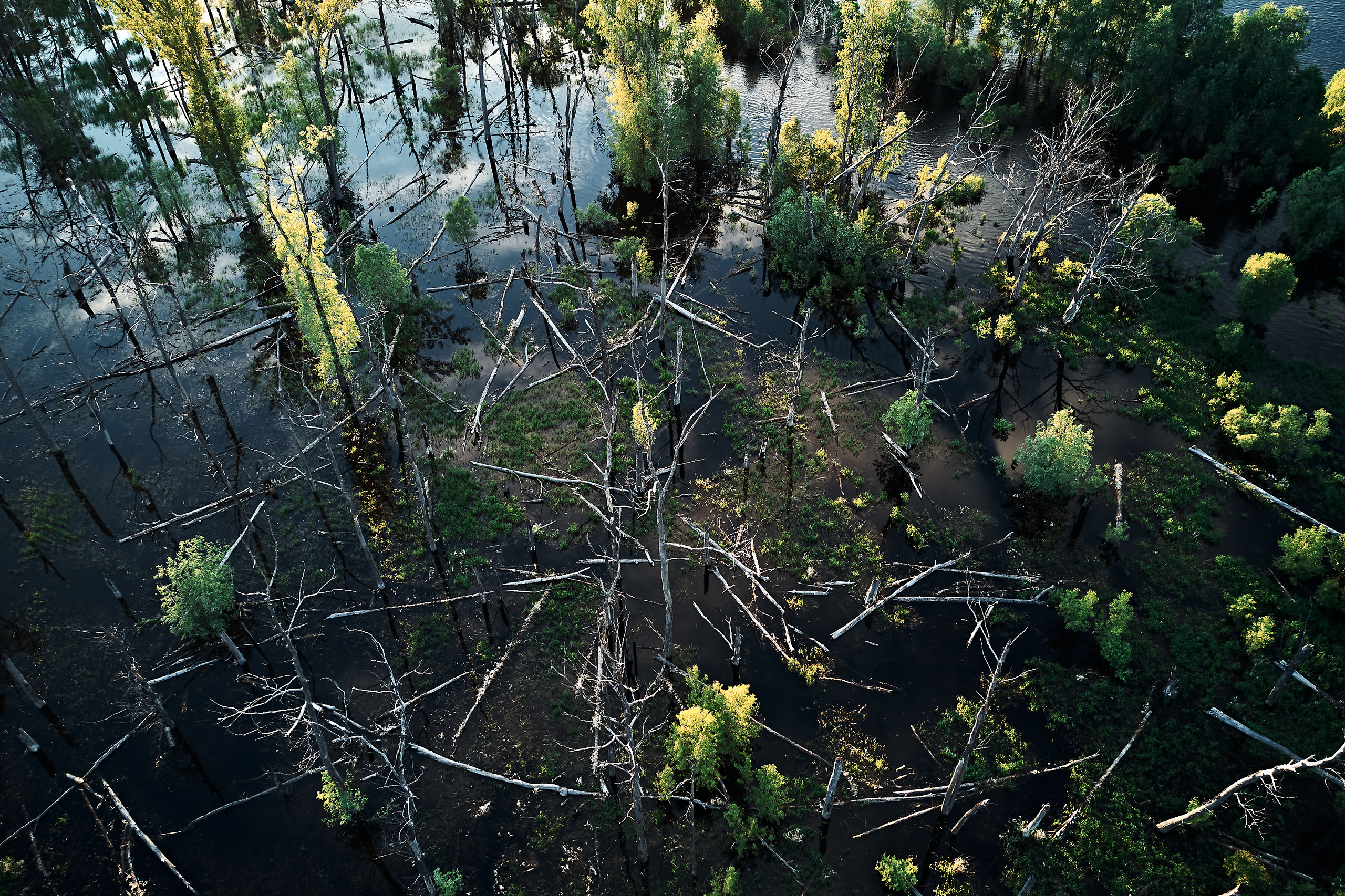 Мост через Тавду. Бизнес портрет Аэросъемка Интерьерная съемка Тюмень