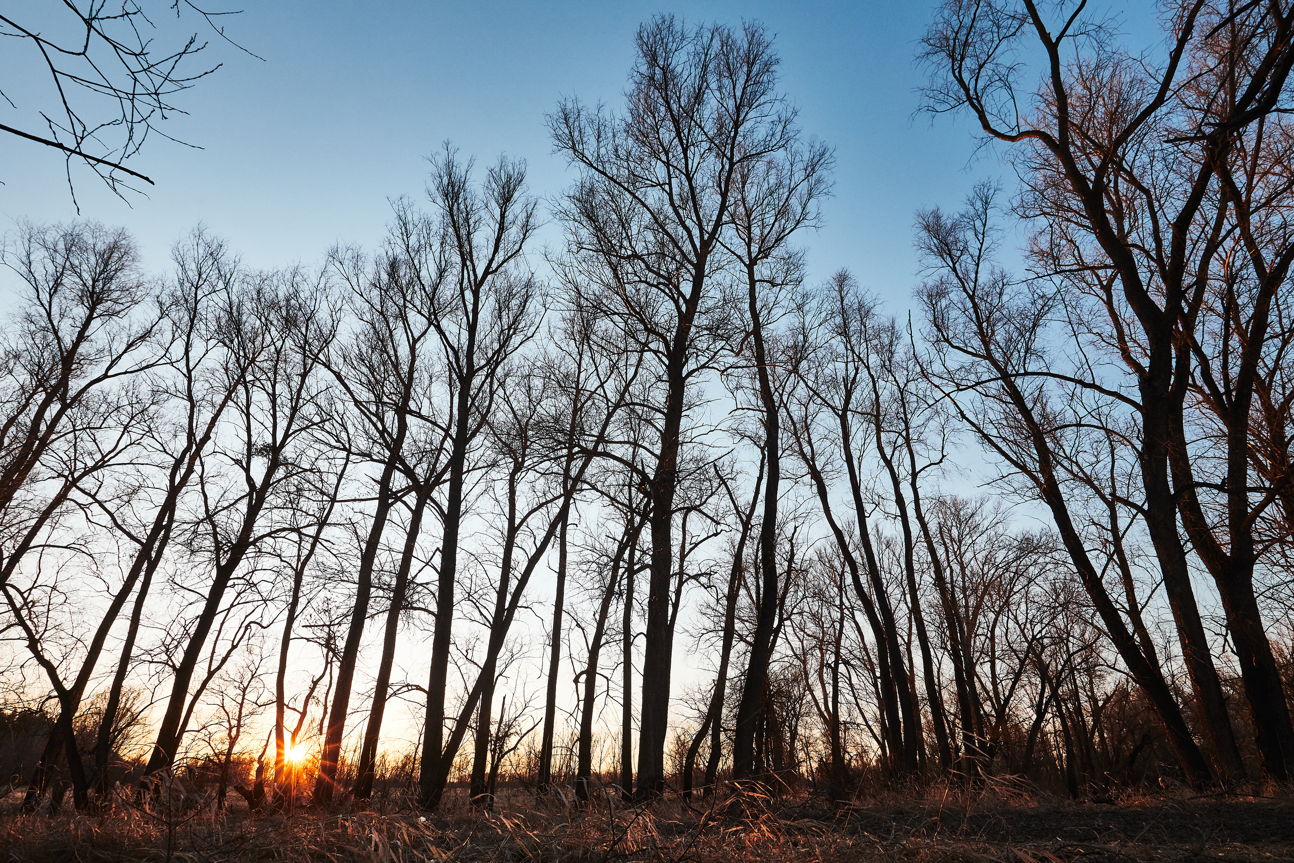 Паченка. Бизнес портрет Аэросъемка Интерьерная съемка Тюмень