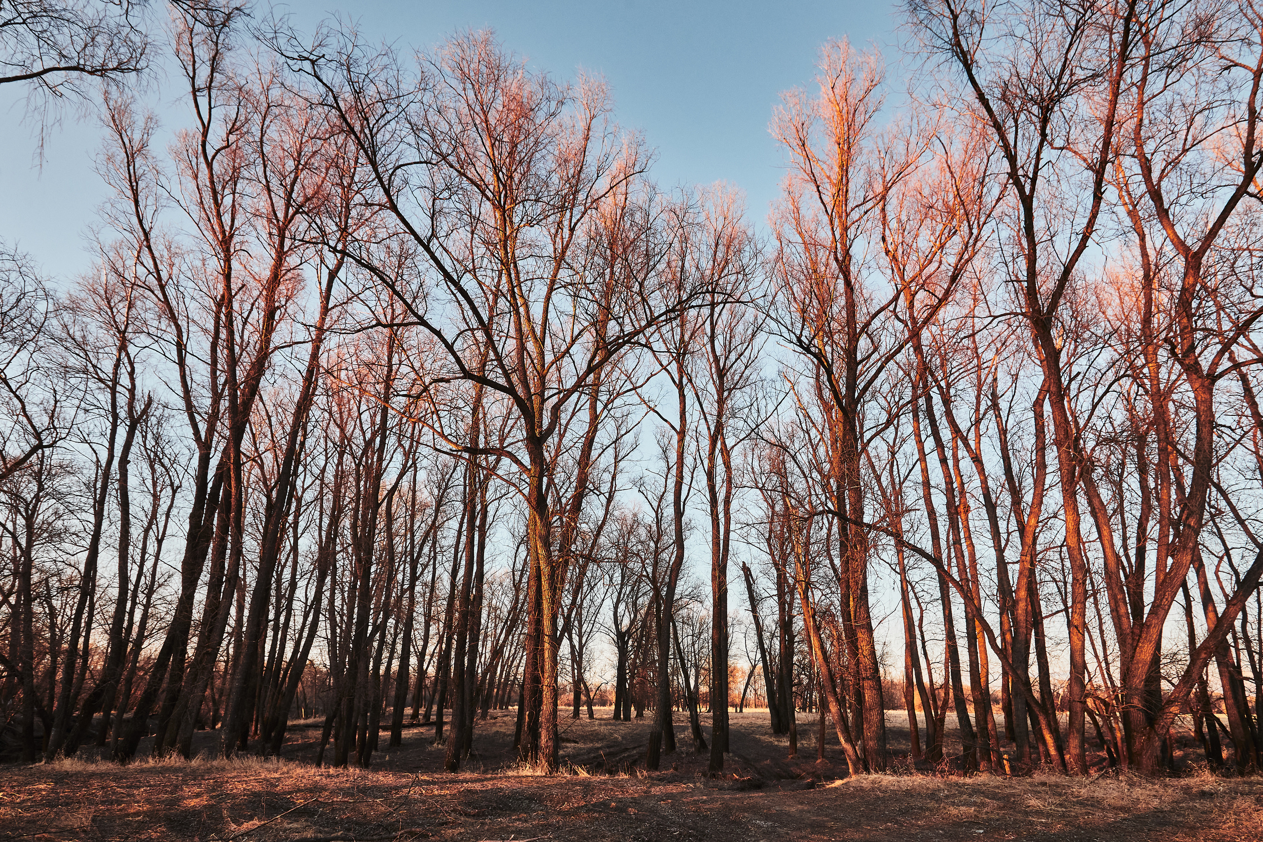 Паченка. Бизнес портрет Аэросъемка Интерьерная съемка Тюмень