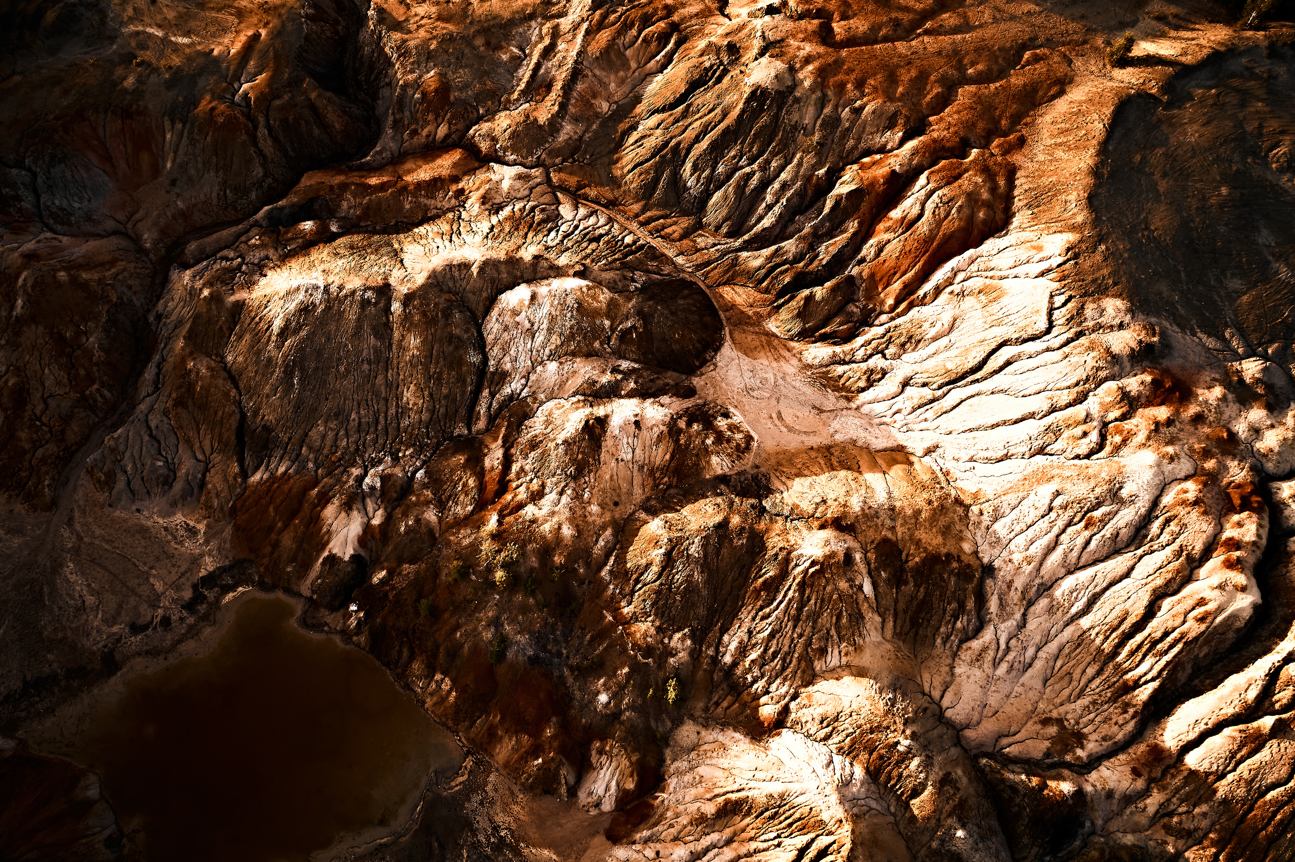 Марс. Бизнес портрет Аэросъемка Интерьерная съемка Тюмень