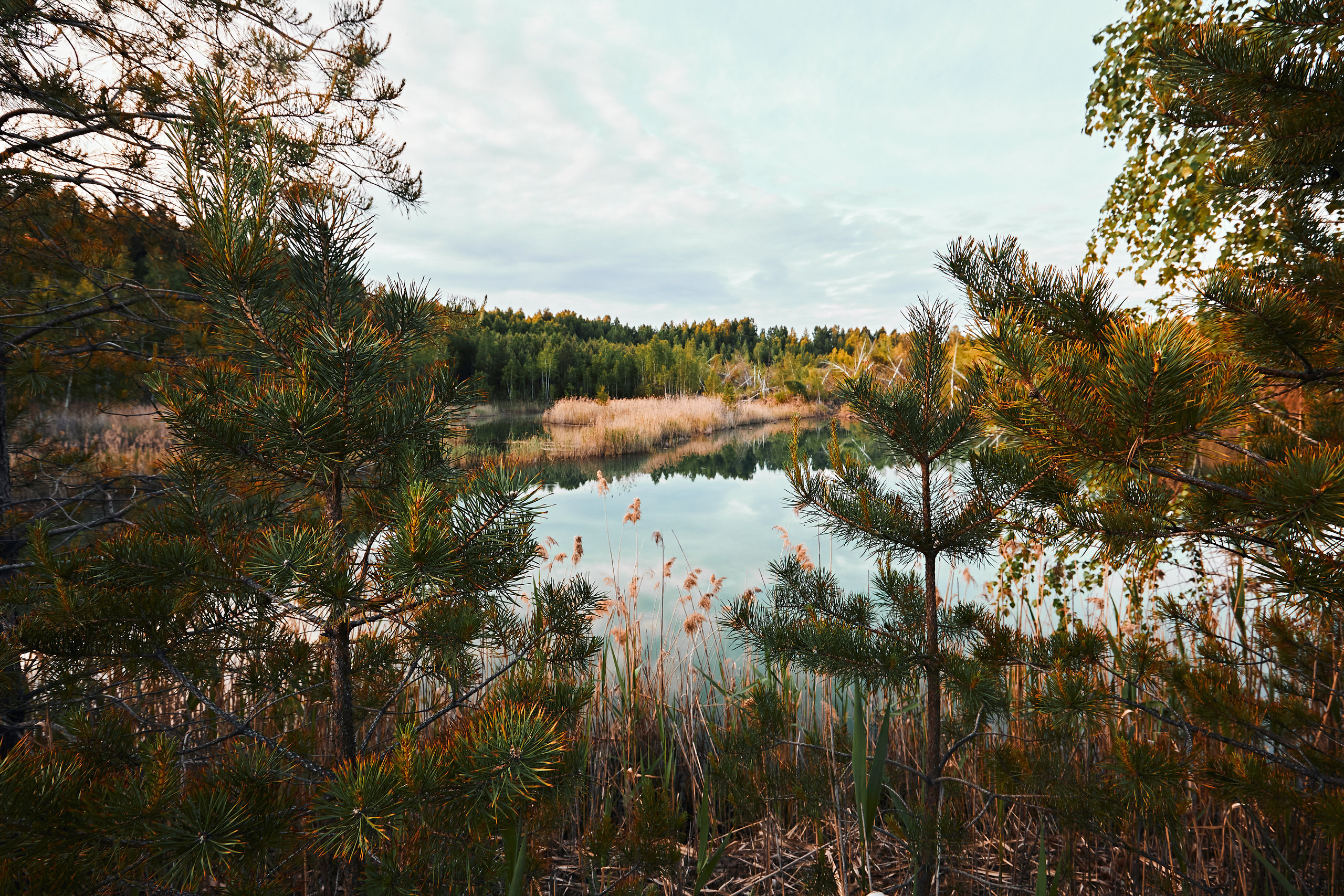 Кыштырлинский карьер. Бизнес портрет Аэросъемка Интерьерная съемка Тюмень