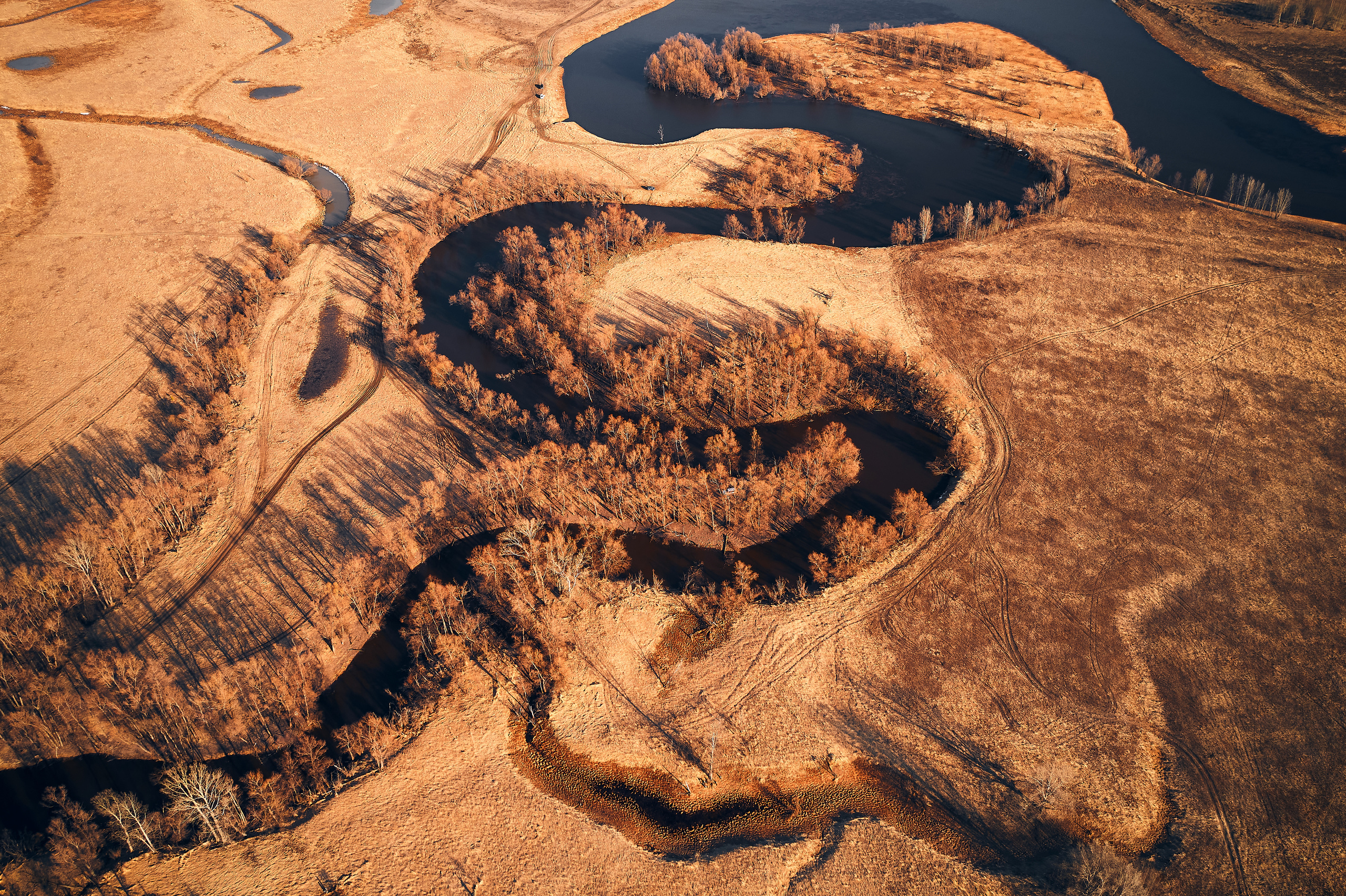 Паченка. Бизнес портрет Аэросъемка Интерьерная съемка Тюмень