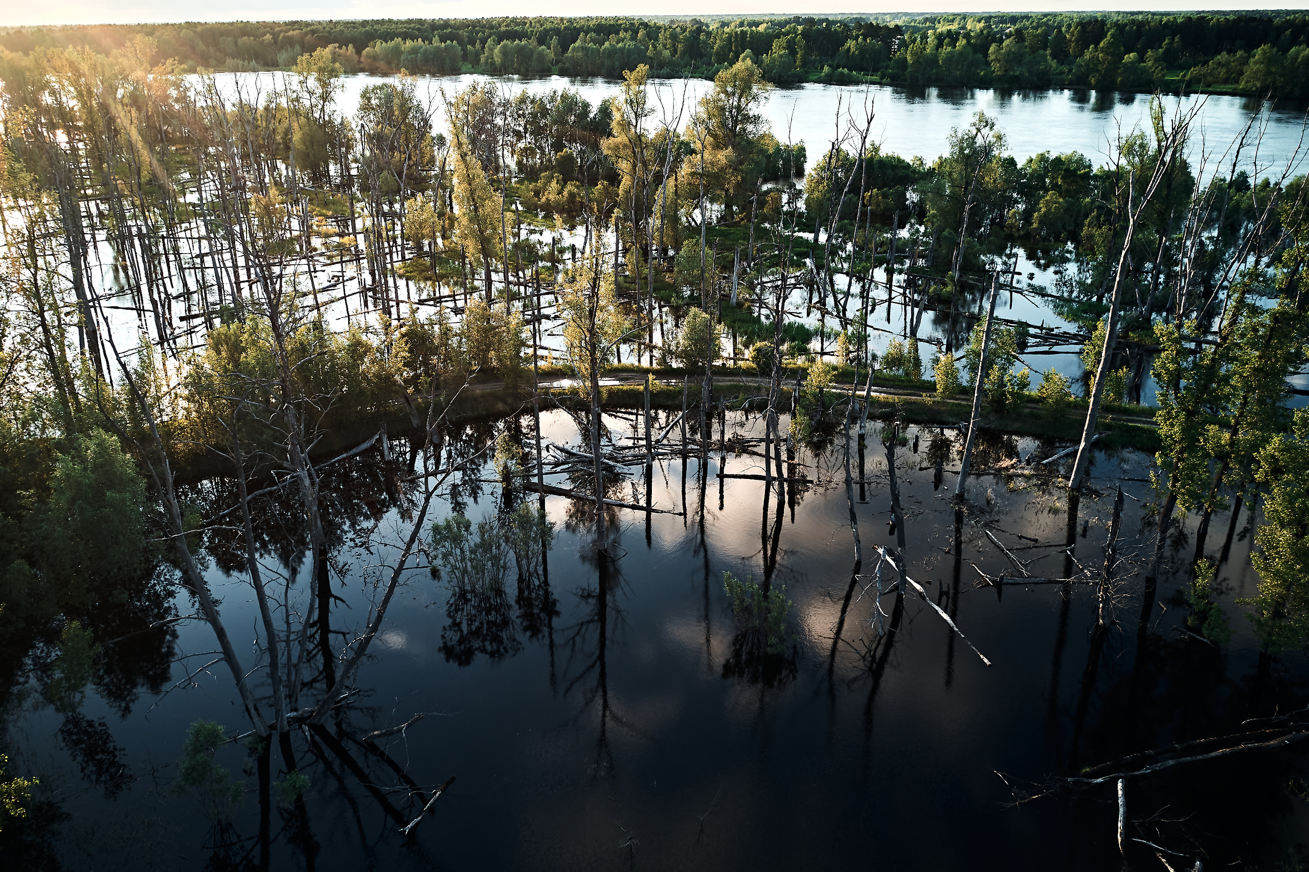 Мост через Тавду. Бизнес портрет Аэросъемка Интерьерная съемка Тюмень