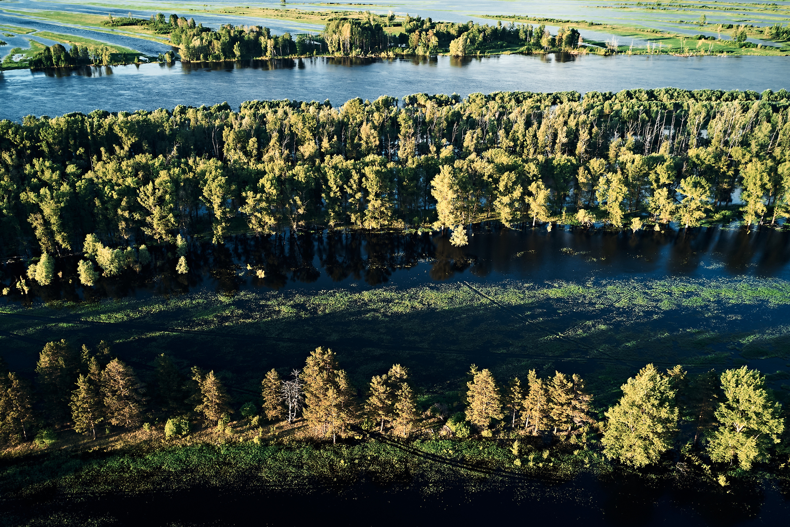 Мост через Тавду. Бизнес портрет Аэросъемка Интерьерная съемка Тюмень