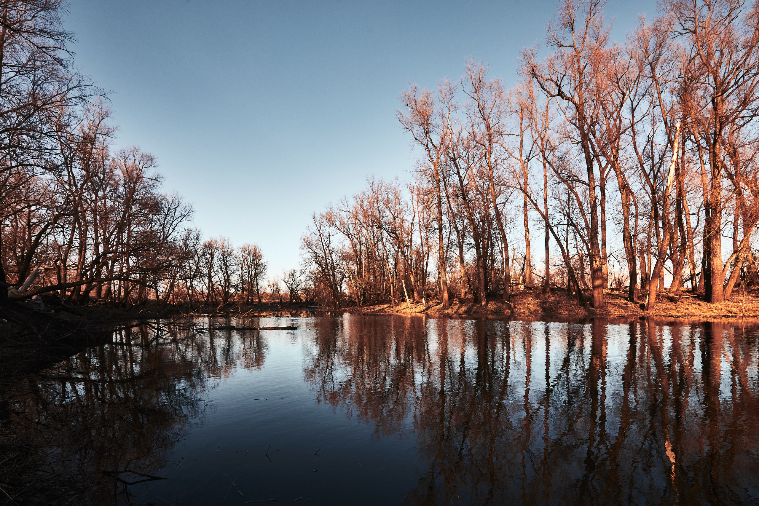 Паченка. Бизнес портрет Аэросъемка Интерьерная съемка Тюмень