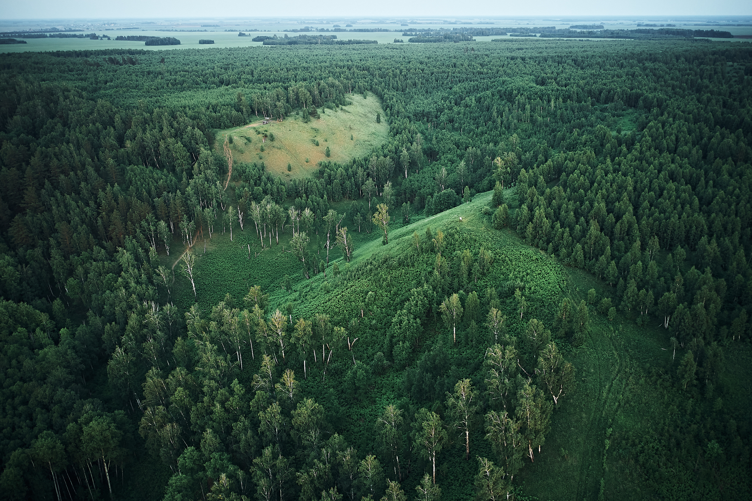 Папаротники. Бизнес портрет Аэросъемка Интерьерная съемка Тюмень