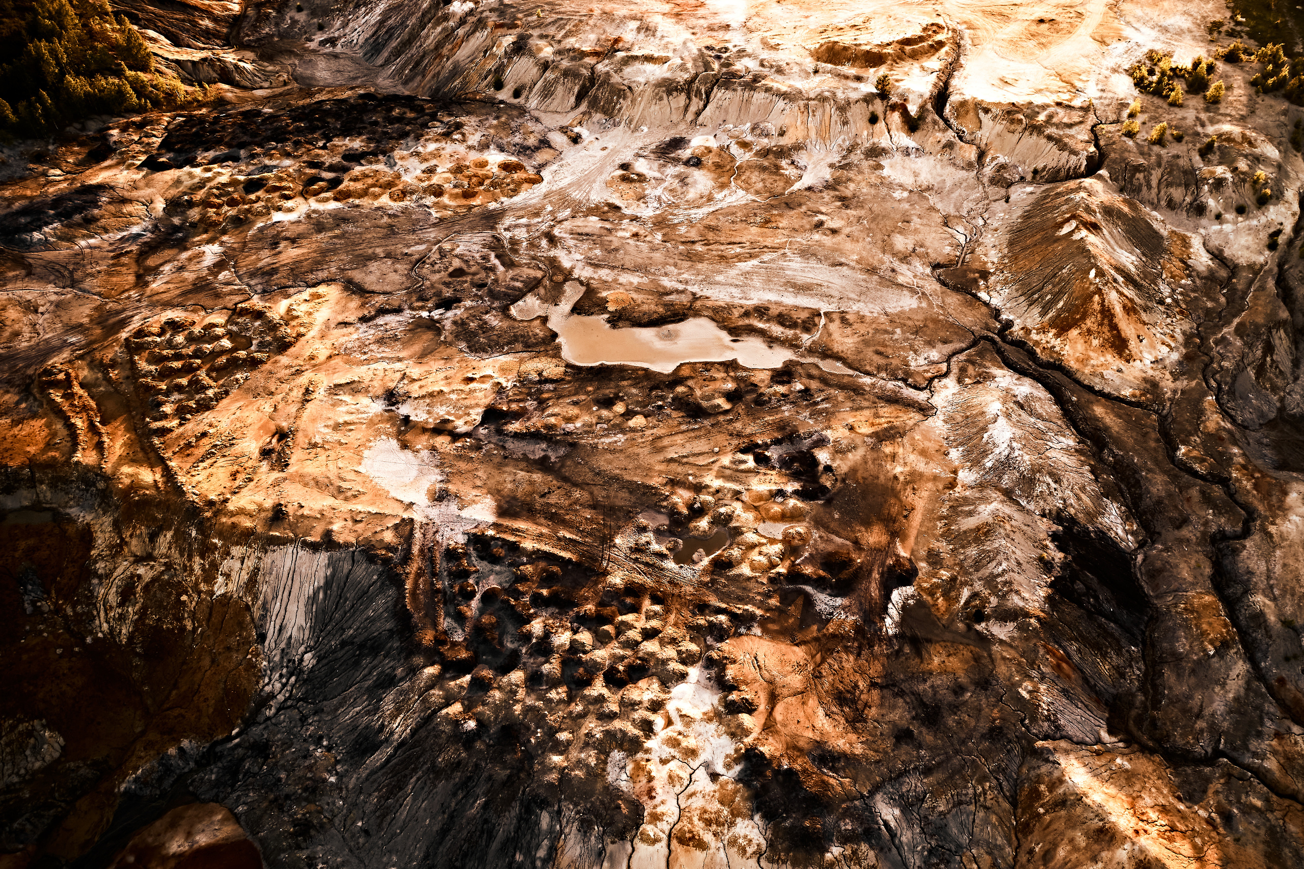 Марс. Бизнес портрет Аэросъемка Интерьерная съемка Тюмень