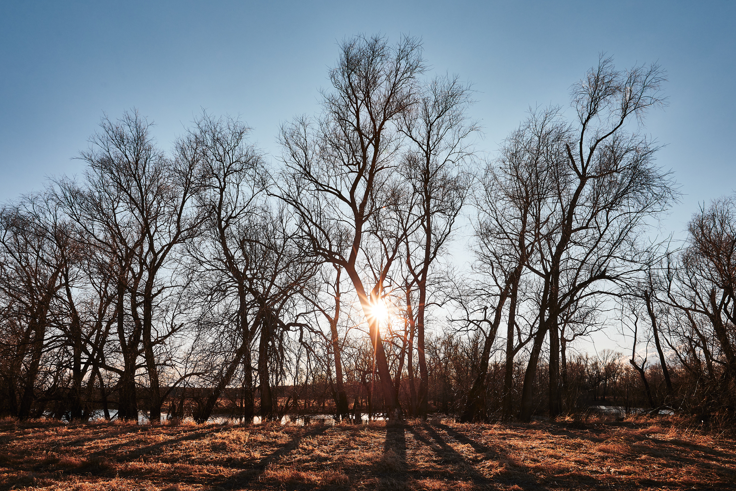Паченка. Бизнес портрет Аэросъемка Интерьерная съемка Тюмень
