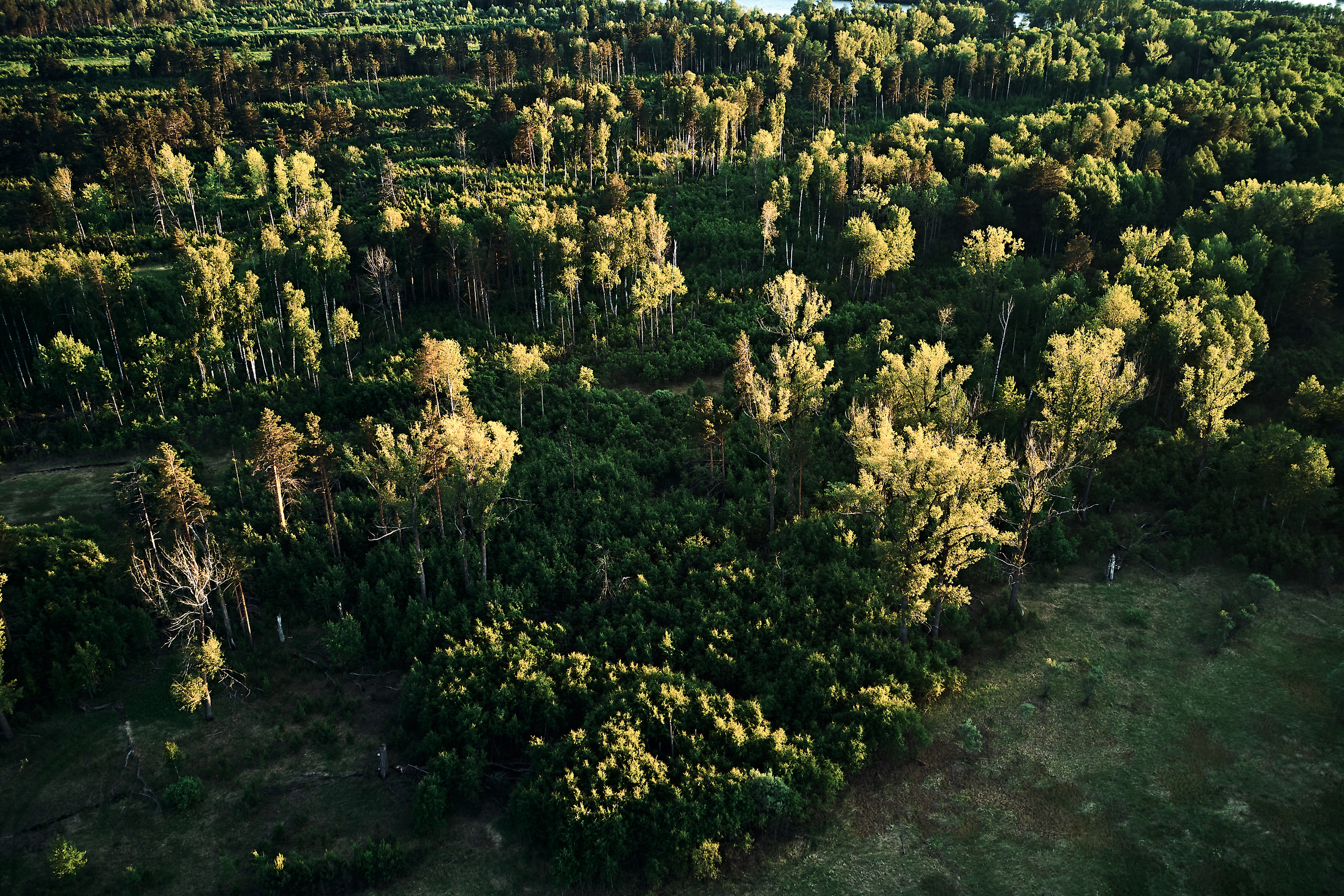Мост через Тавду. Бизнес портрет Аэросъемка Интерьерная съемка Тюмень