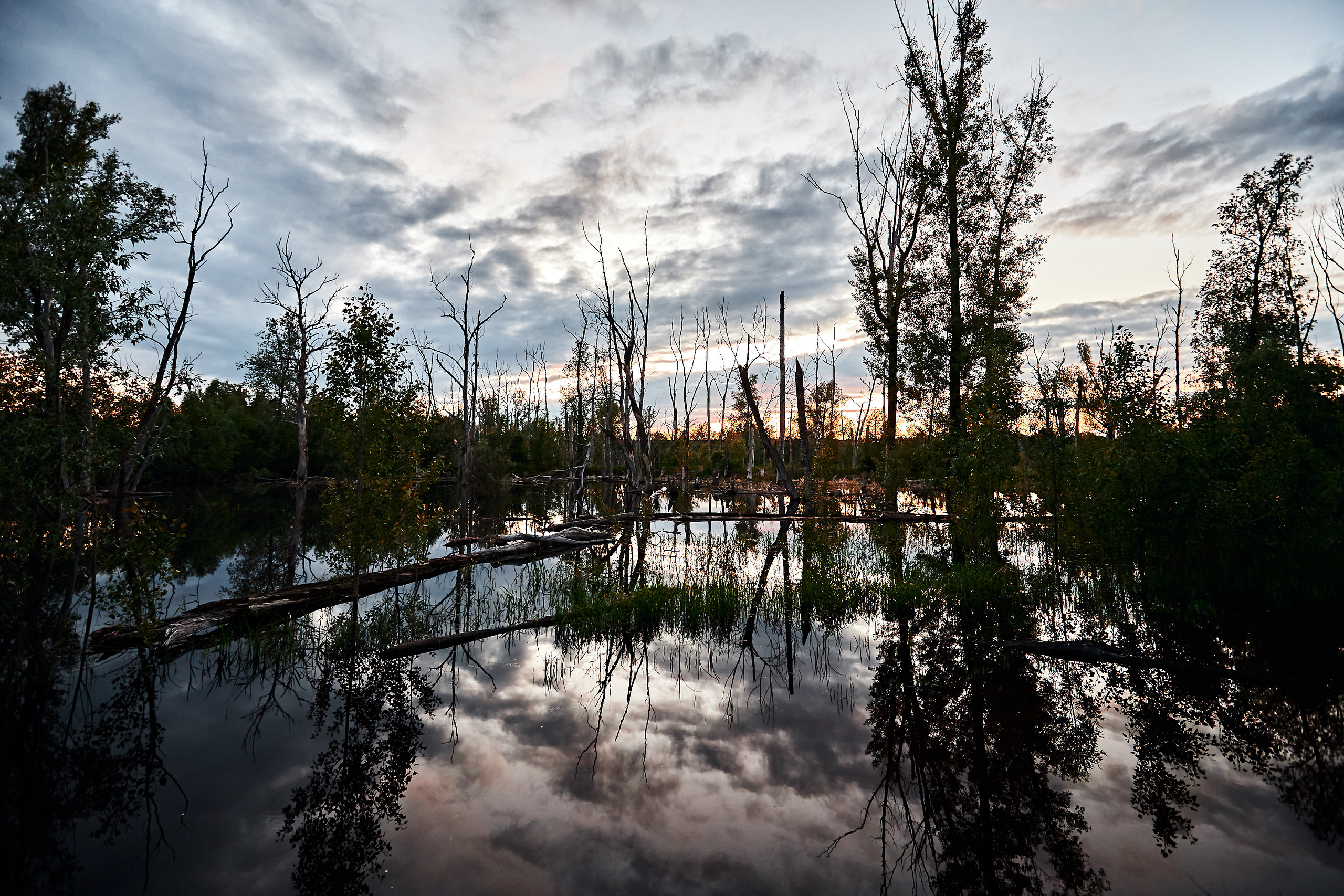 Мост через Тавду. Бизнес портрет Аэросъемка Интерьерная съемка Тюмень