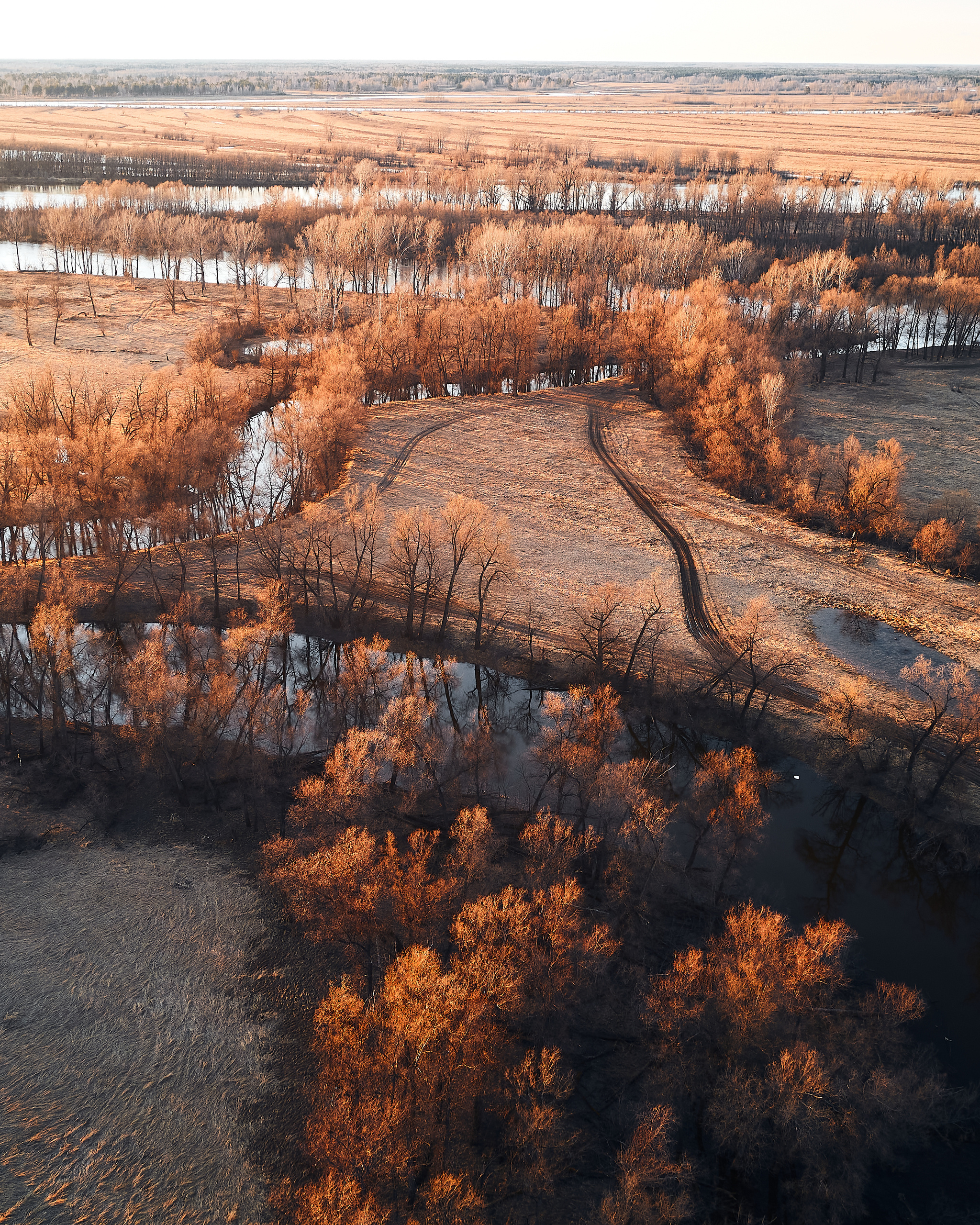 Паченка. Бизнес портрет Аэросъемка Интерьерная съемка Тюмень