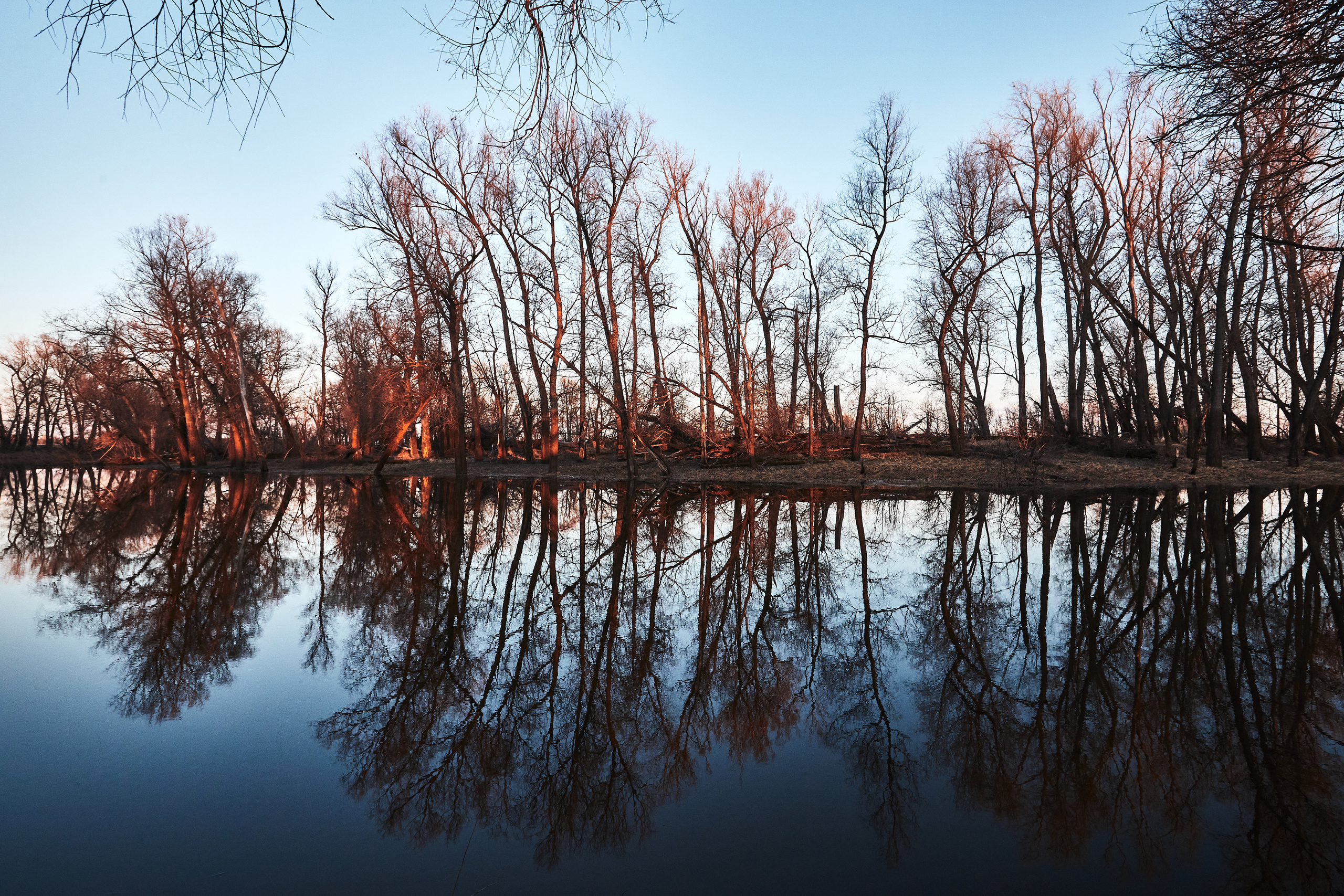 Паченка. Бизнес портрет Аэросъемка Интерьерная съемка Тюмень