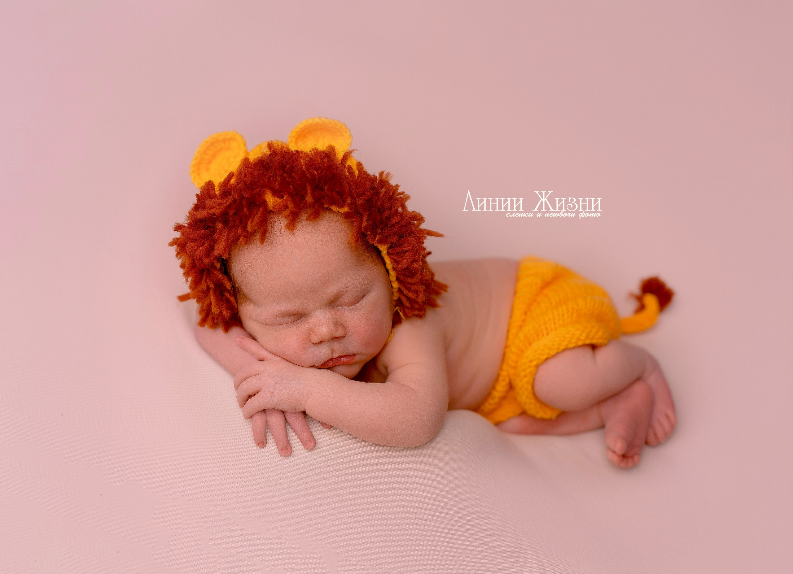 Лев 10 дней. Фотограф новорожденных в Нижнем Новгороде Сергеева Оксана