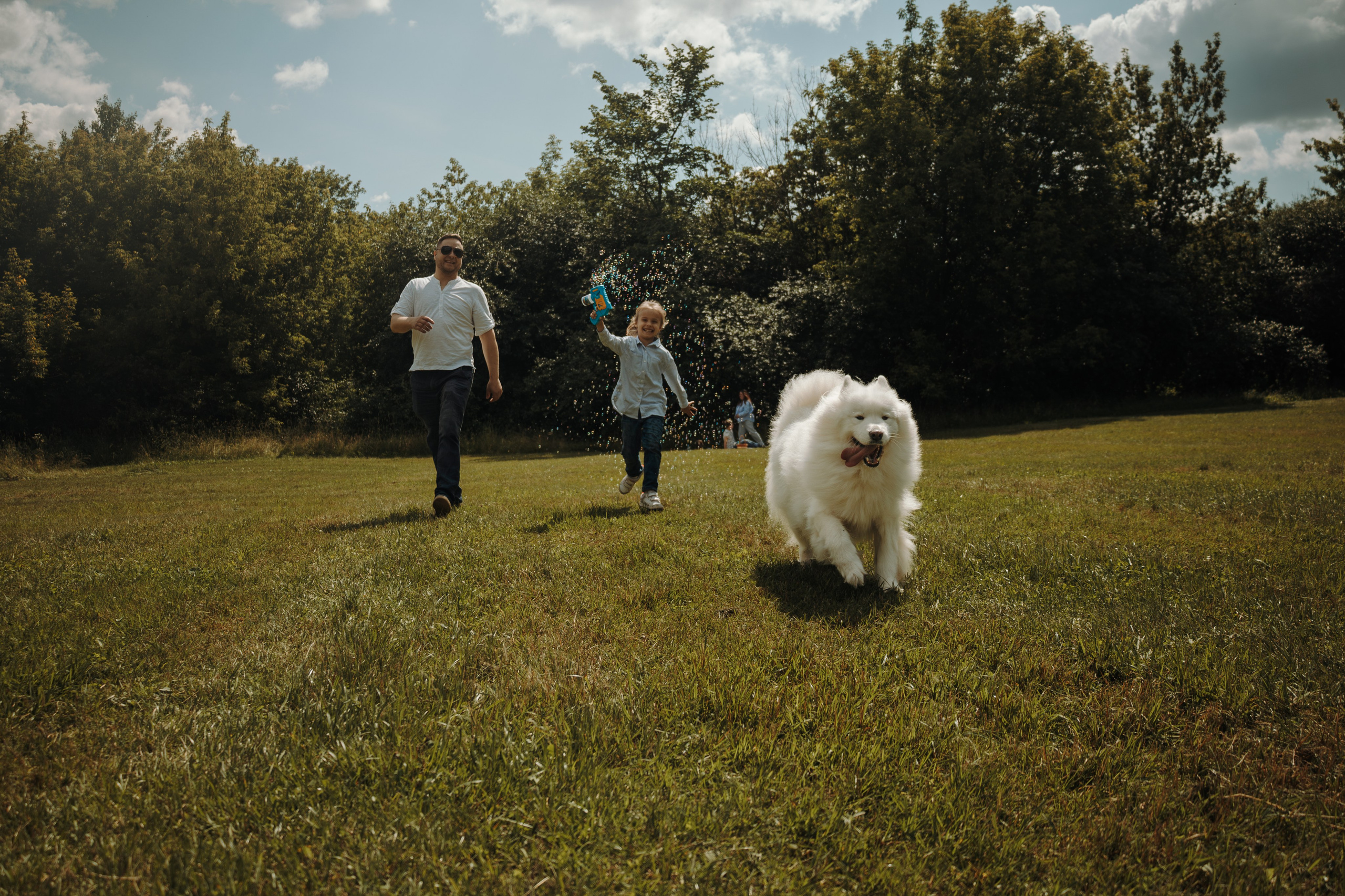 Семейная фотосессия с собаками в парке. Фотограф-анималист в Москве Екатерина Тихонова