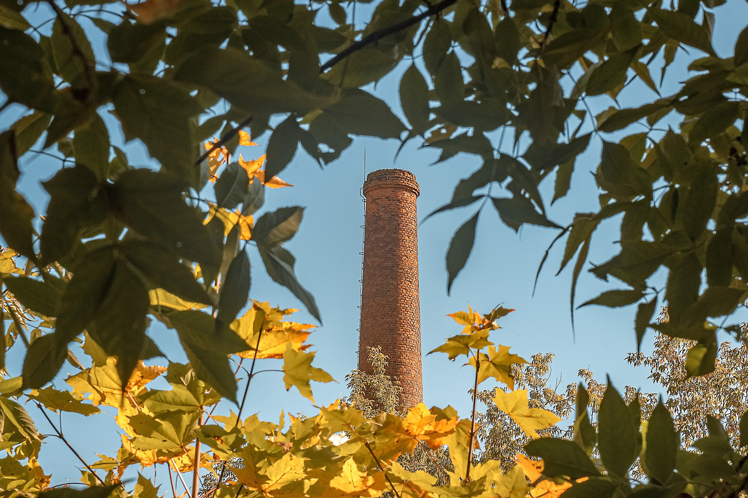 Наш Дом — Земля. Аmat Victoria Сuram