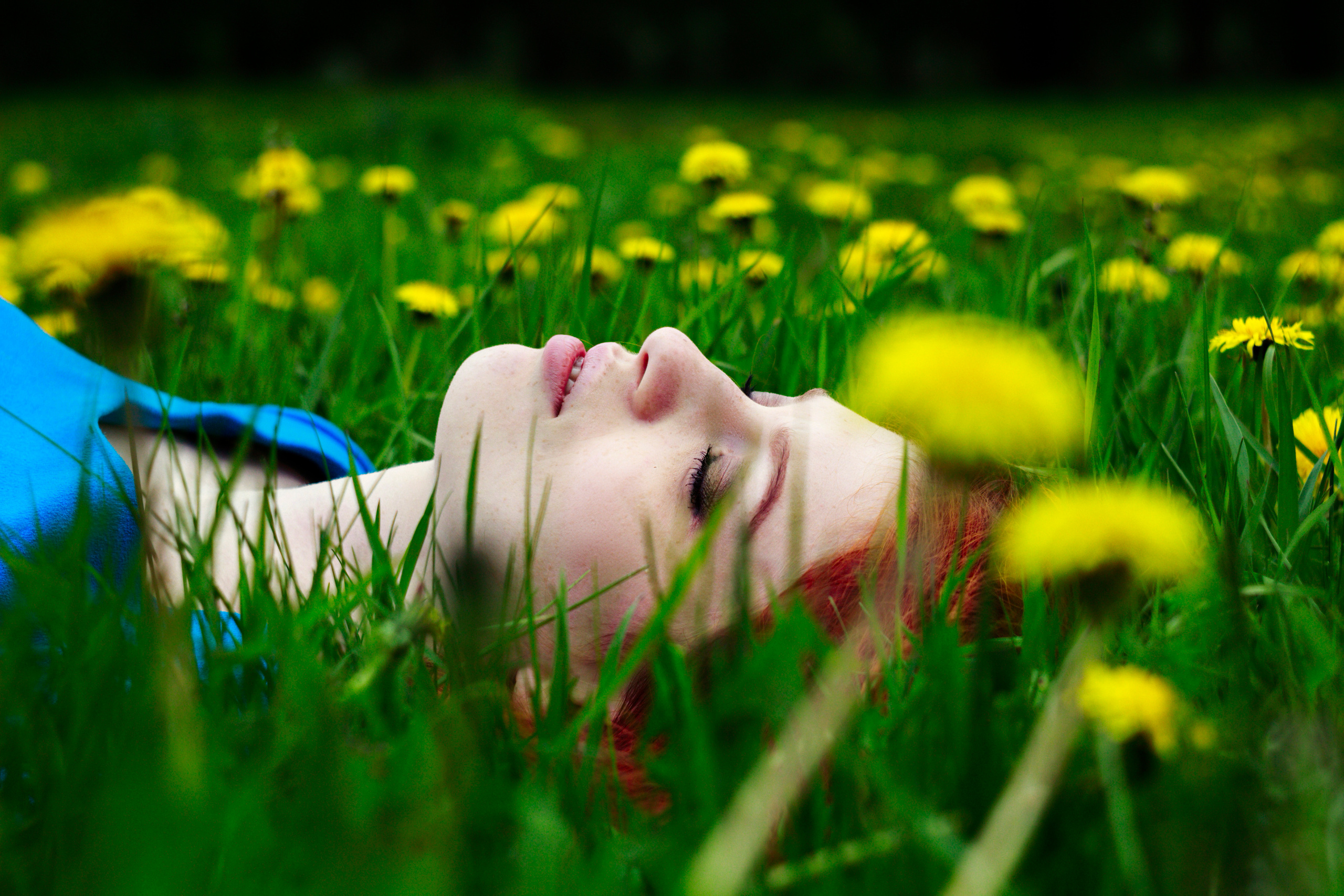 • Blue Feather • фотография, графический дизайн, Комсомольск-на-Амуре