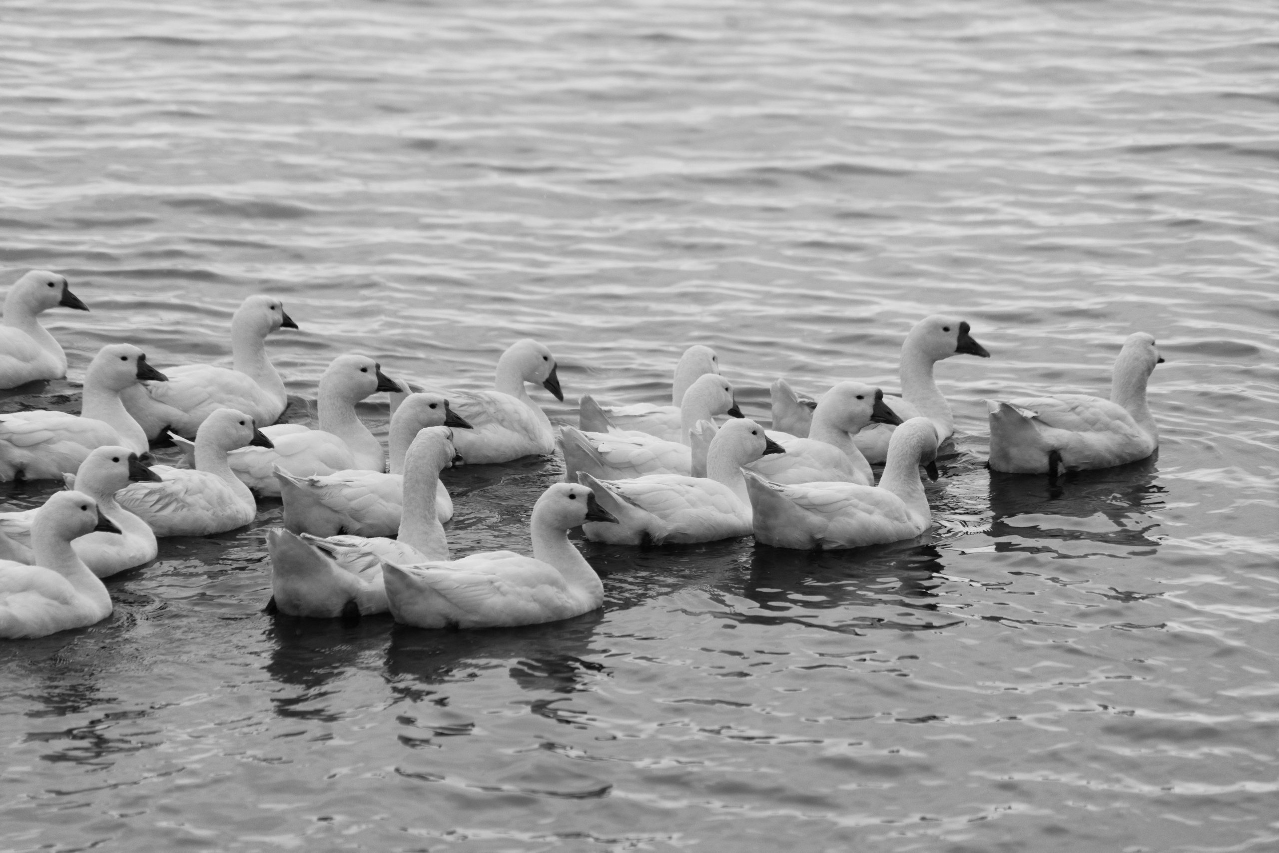 Бекстейдж сьемки кино. Профессиональная съемка в Алматы