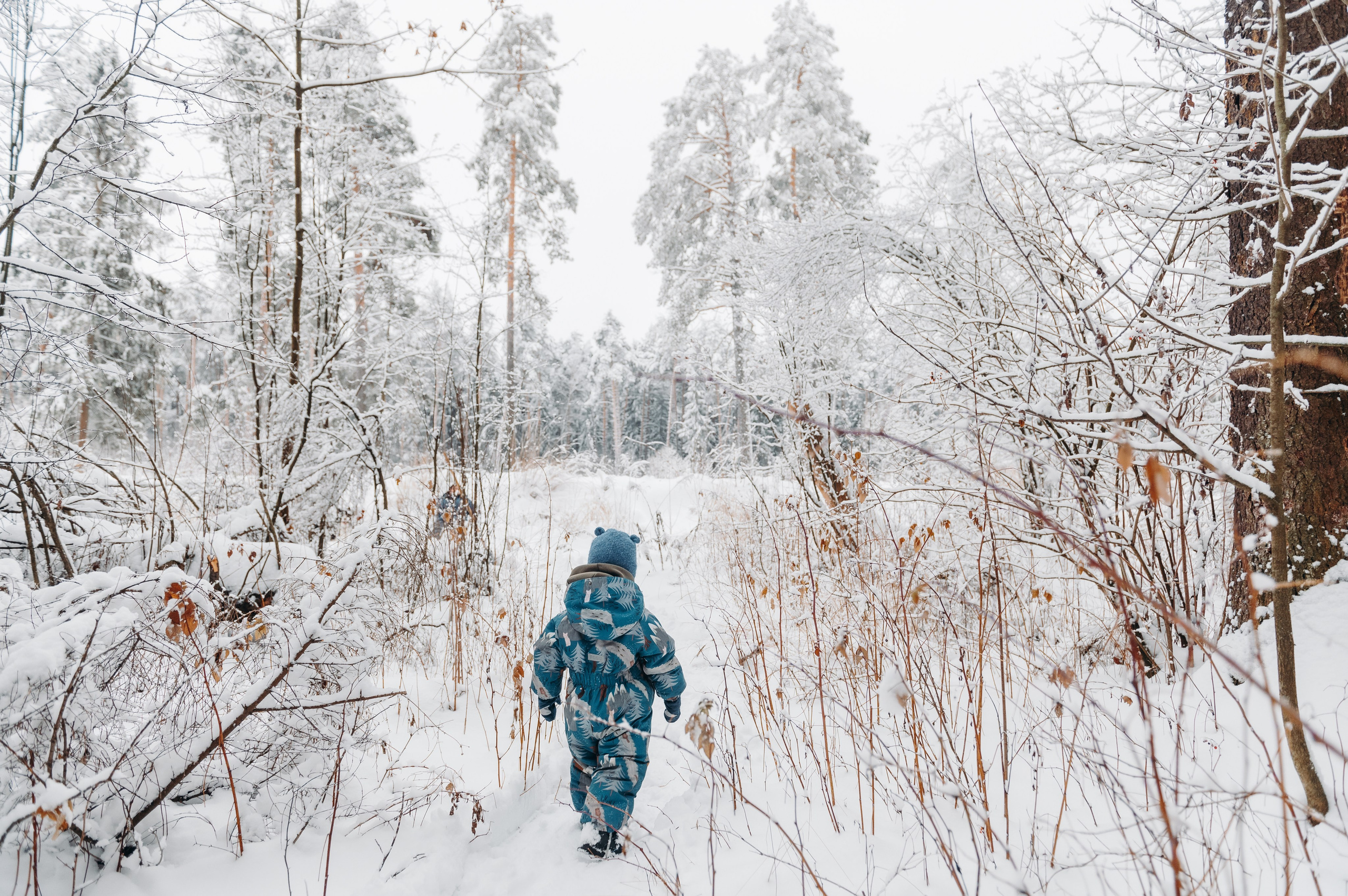 Снежная прогулка. Главная