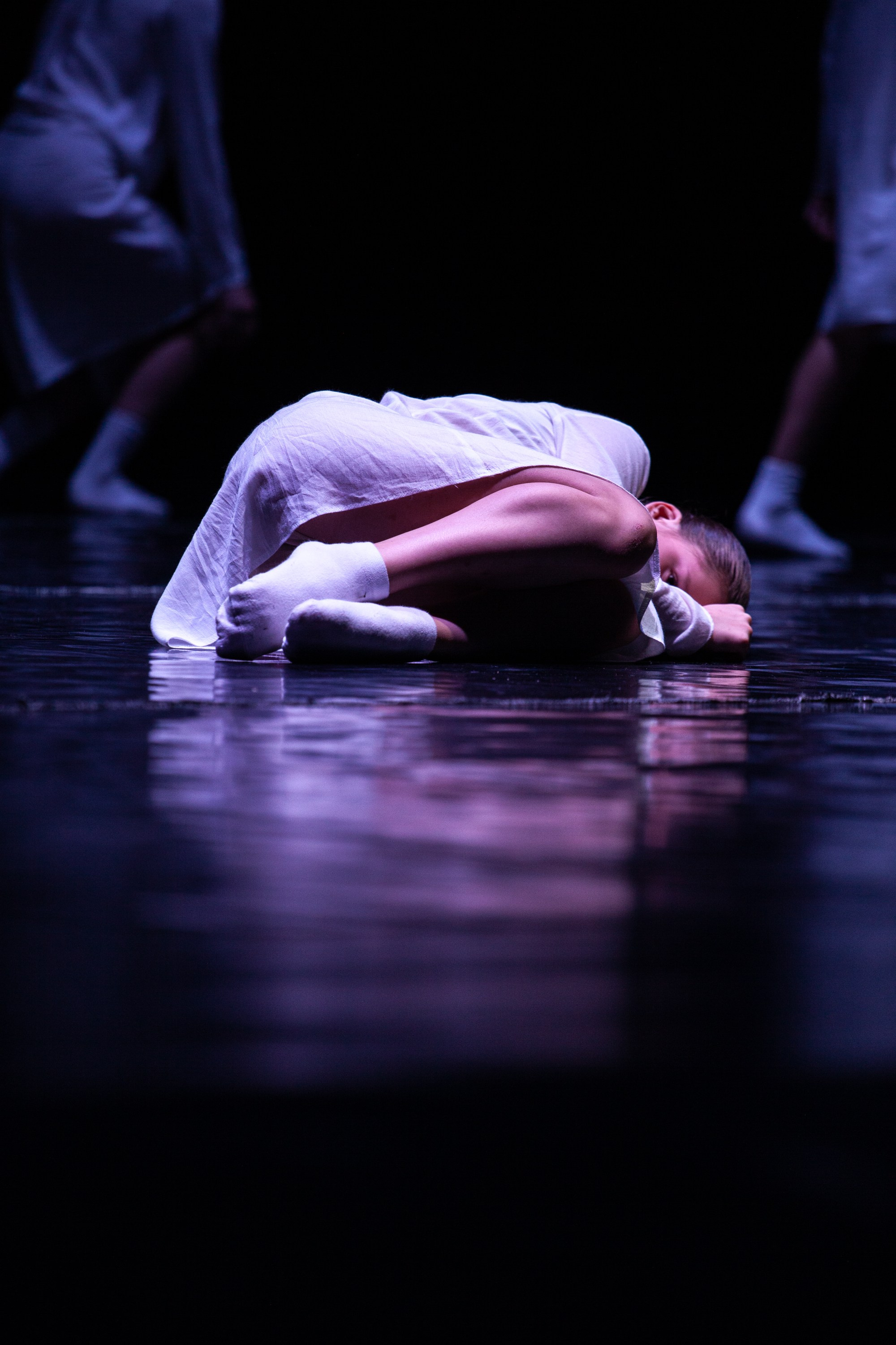 Концерты. Виолетта Скрипка