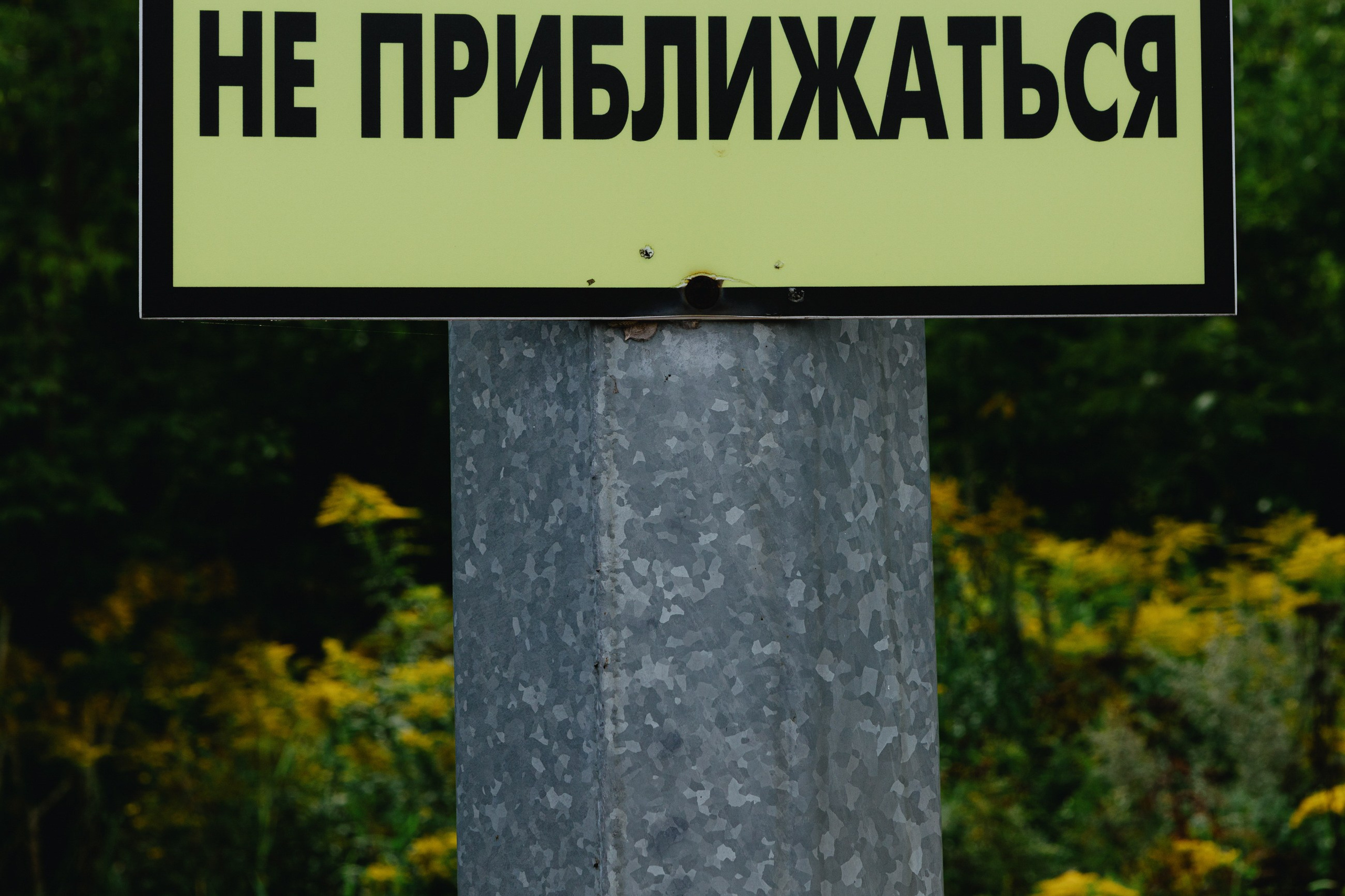 Александр и Дарья. LEVORIGINAL