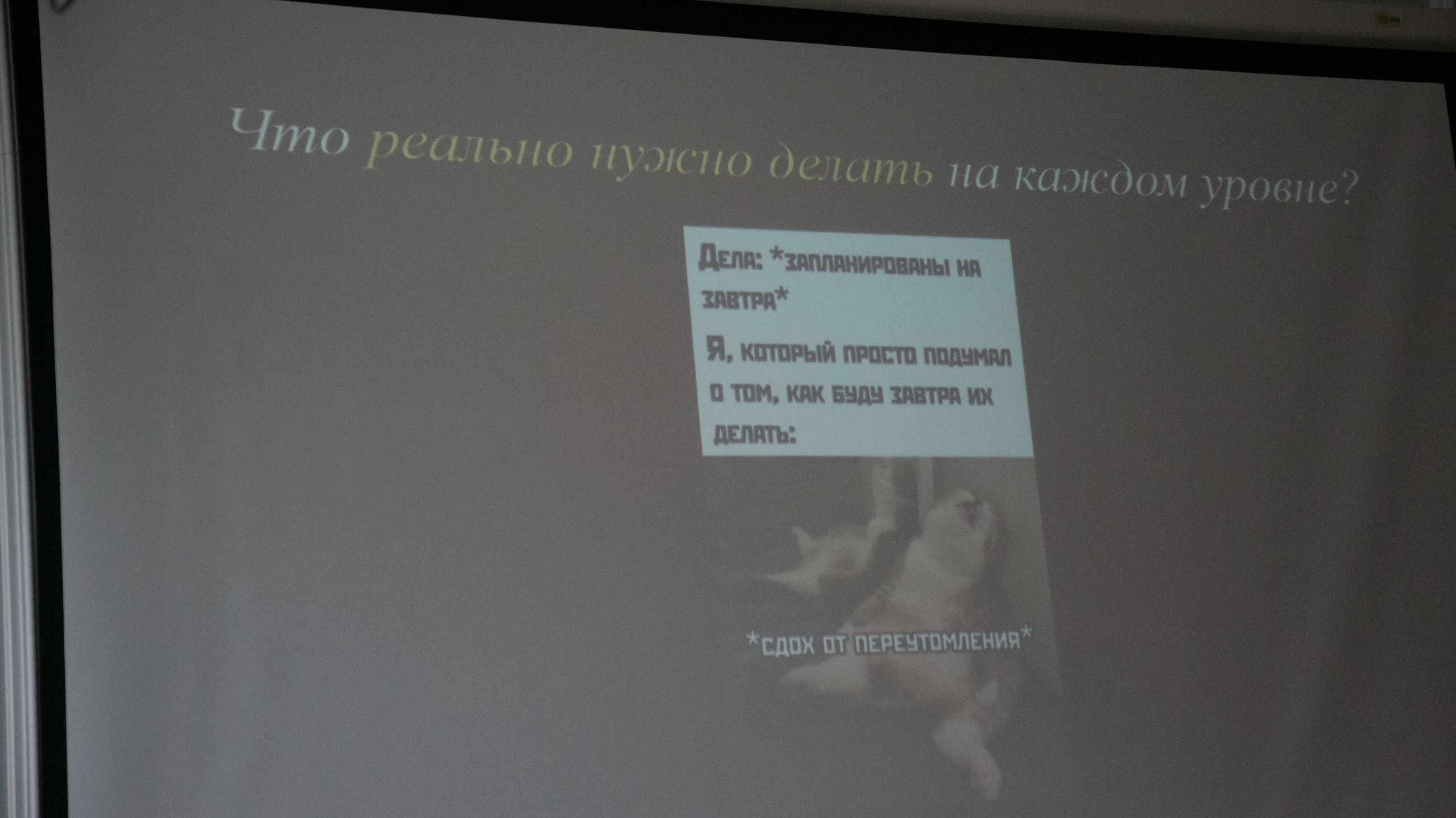 Конференция репортаж. Фотограф Надежда Абаренова