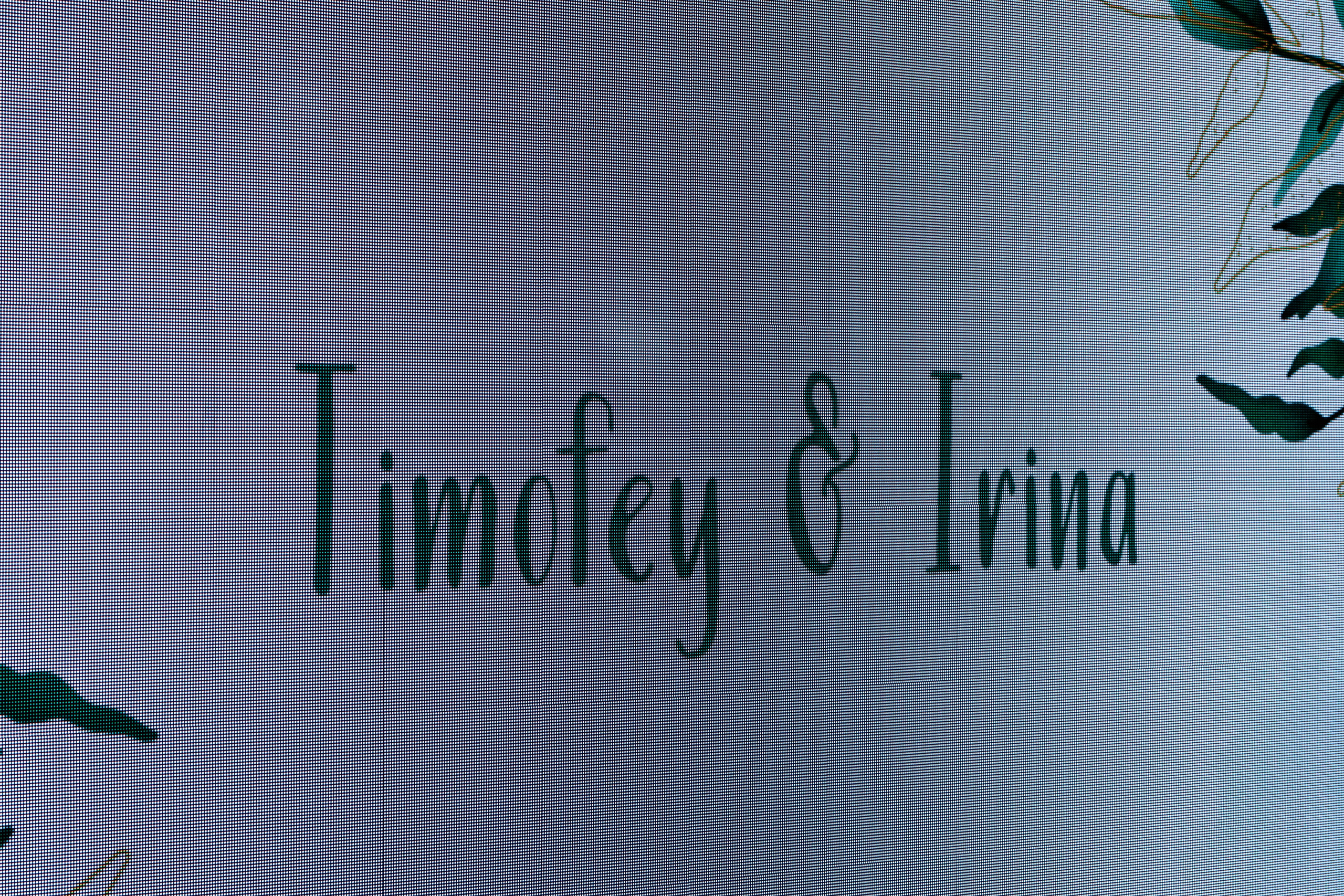 Ирина и Тимофей. Свадебный фотограф Витебск Минск