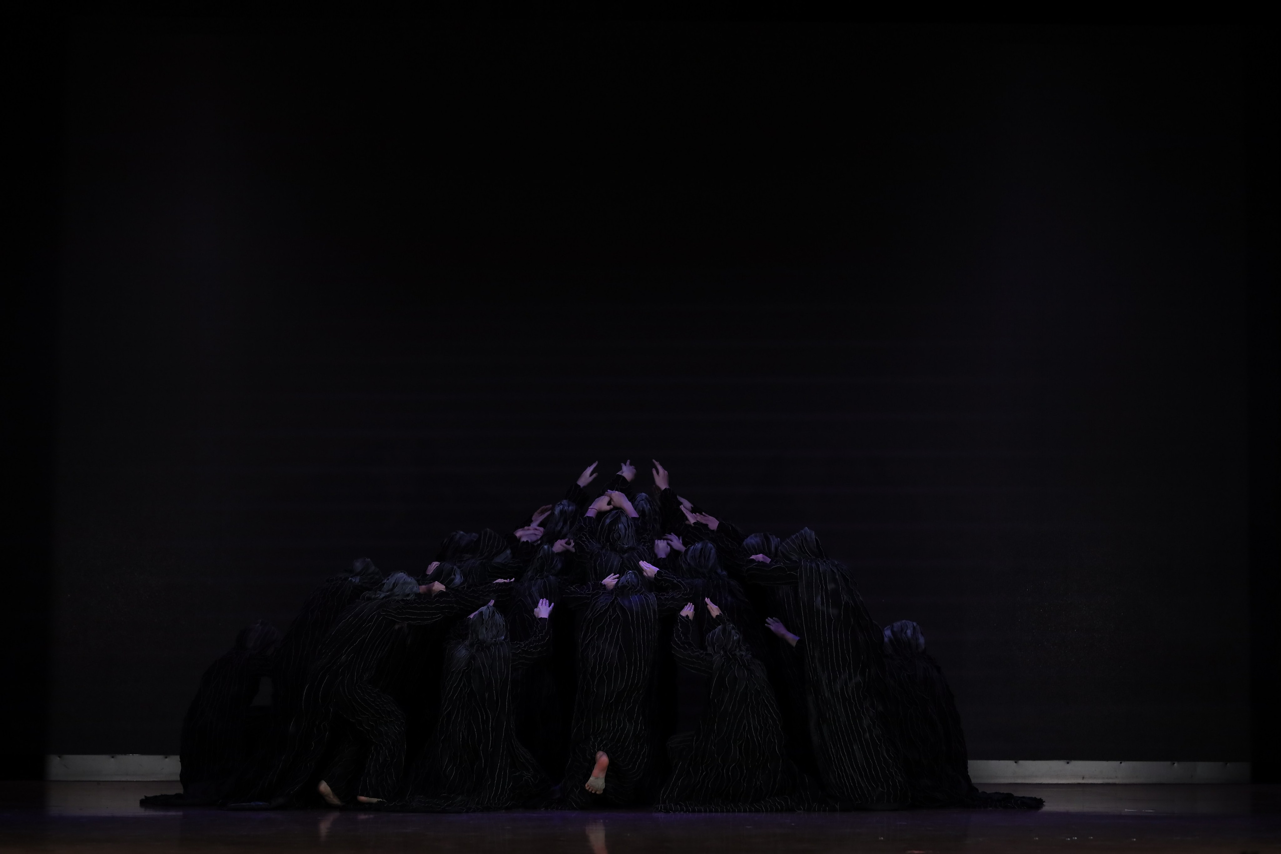 4 ноября, блок 1, видео, номера 49-58, г. Краснодар. Золотое яблочко