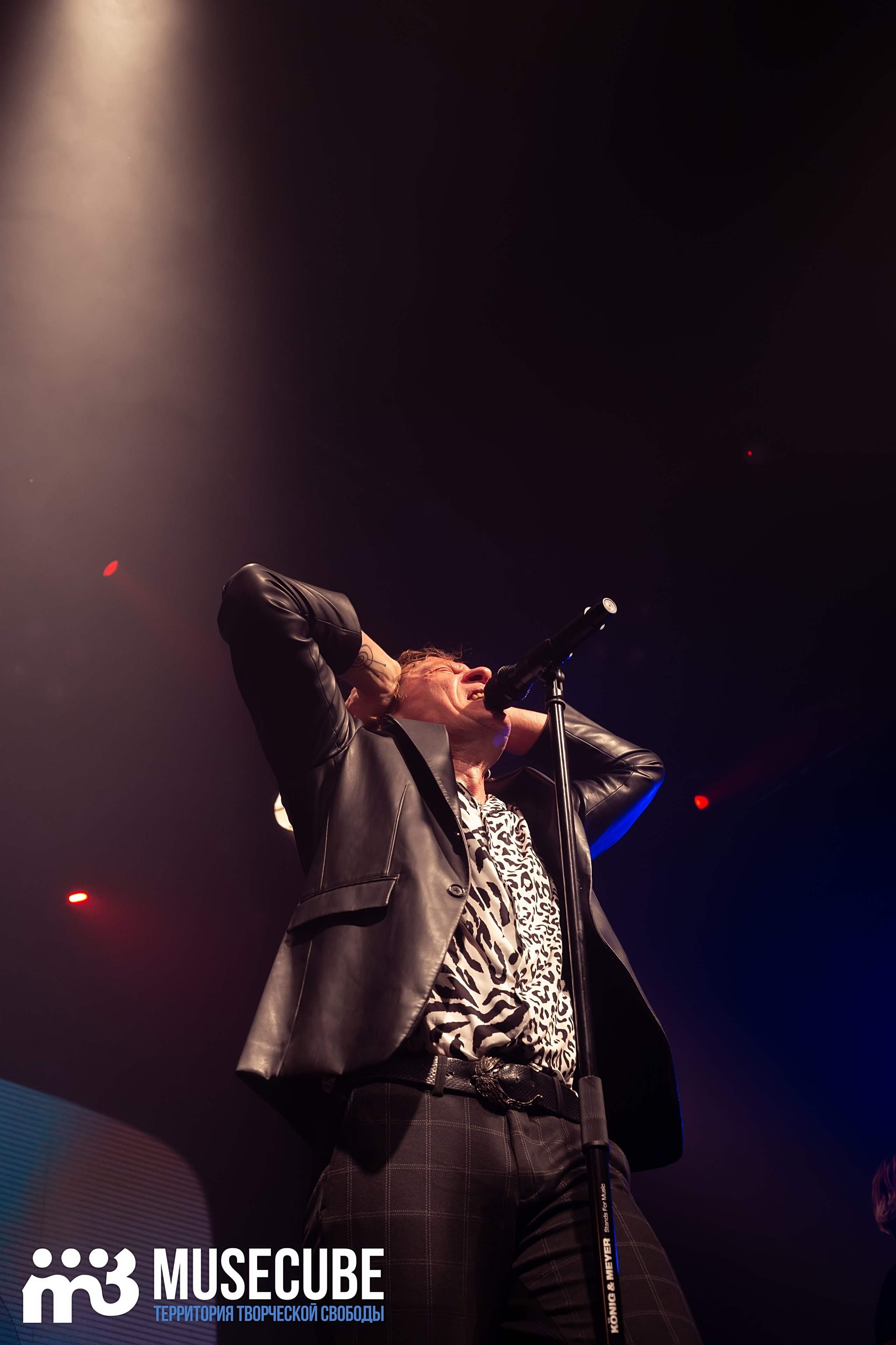 Фотосъемка концерта Найк Борзов Космонавт СПБ. Портретные фотосессии, контент-съемки, репортаж
