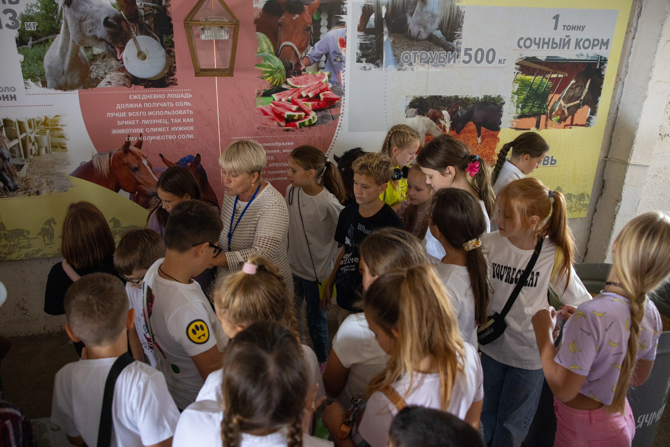 Поездка на поле Кулеково. Фотограф в Туле Крупский АнДРей. Фотостудия «КАДР71» в Туле