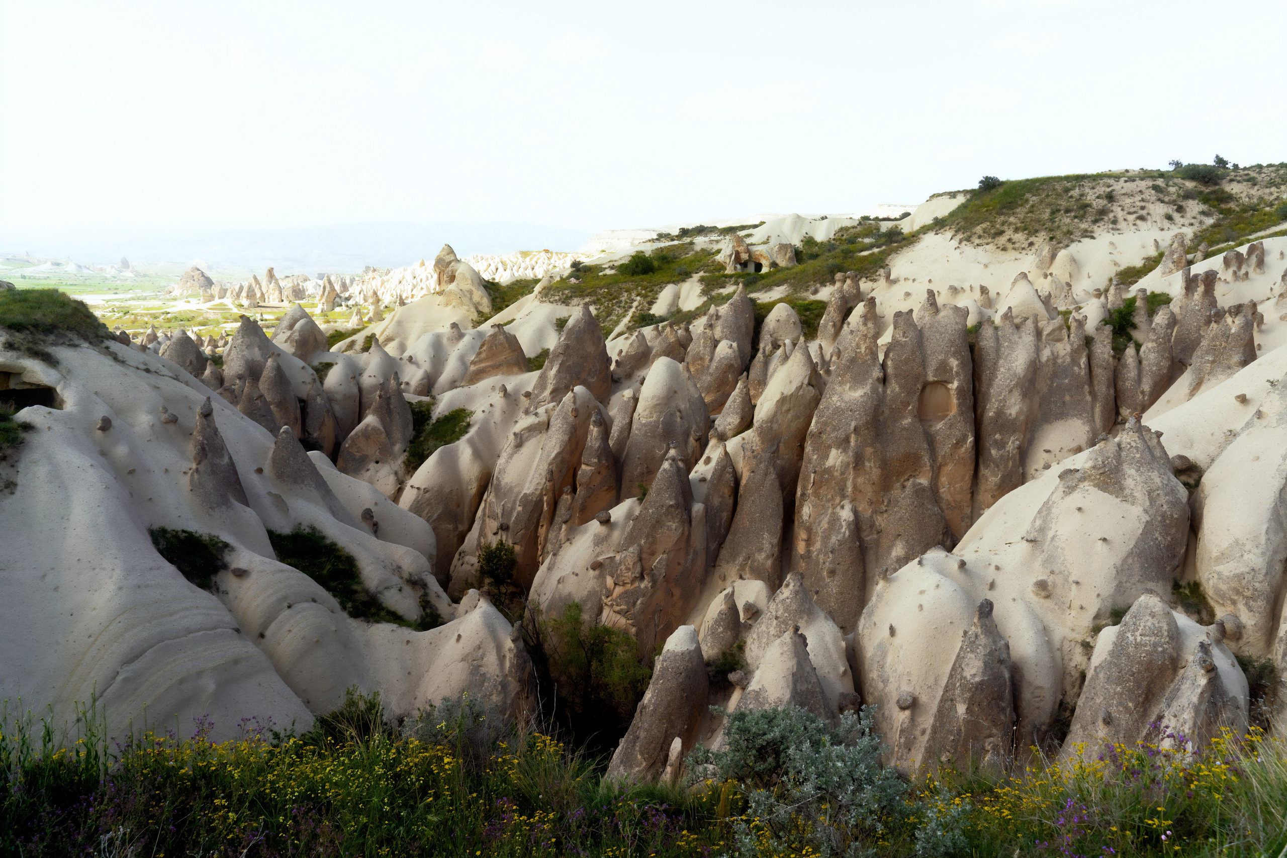 Турция, Греция, Иордания. Фотограф в Хабаровске. Фотография за 24 часа