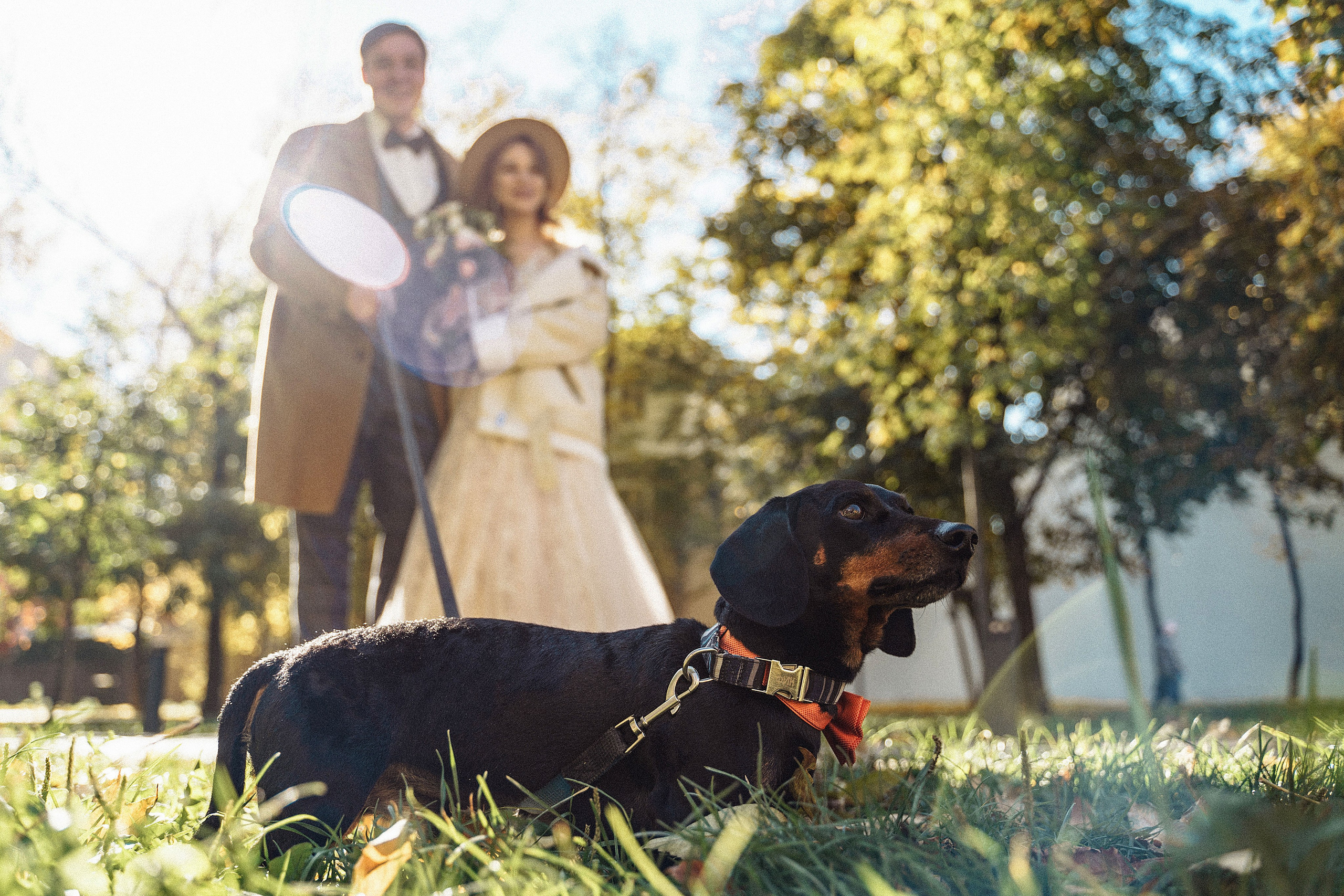 Руслан и Полина. Свадебный и портретный фотограф Клипа Максим