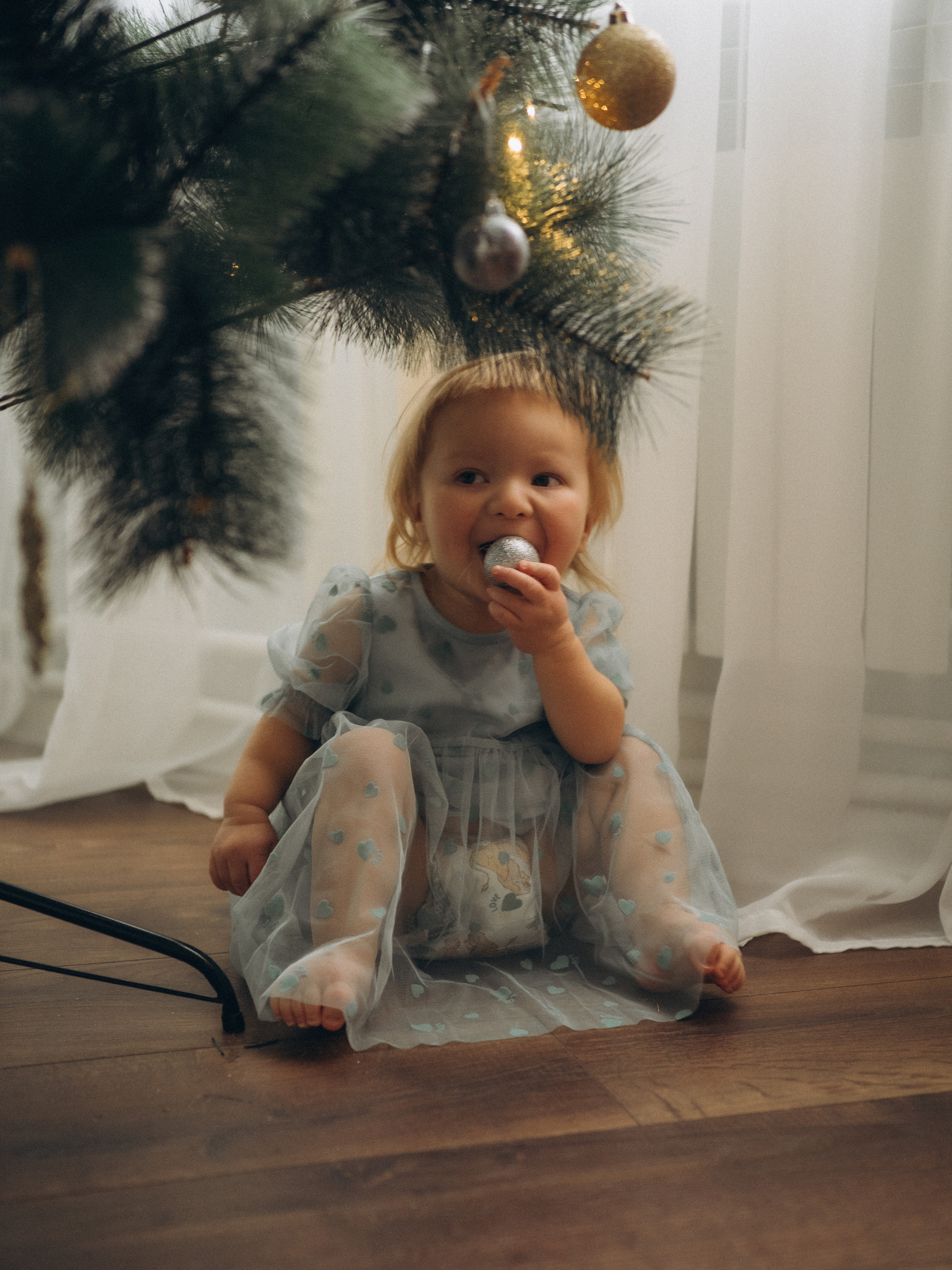 Новый год Астаховы. Семейный фотограф в Ярославле Анардович Любовь