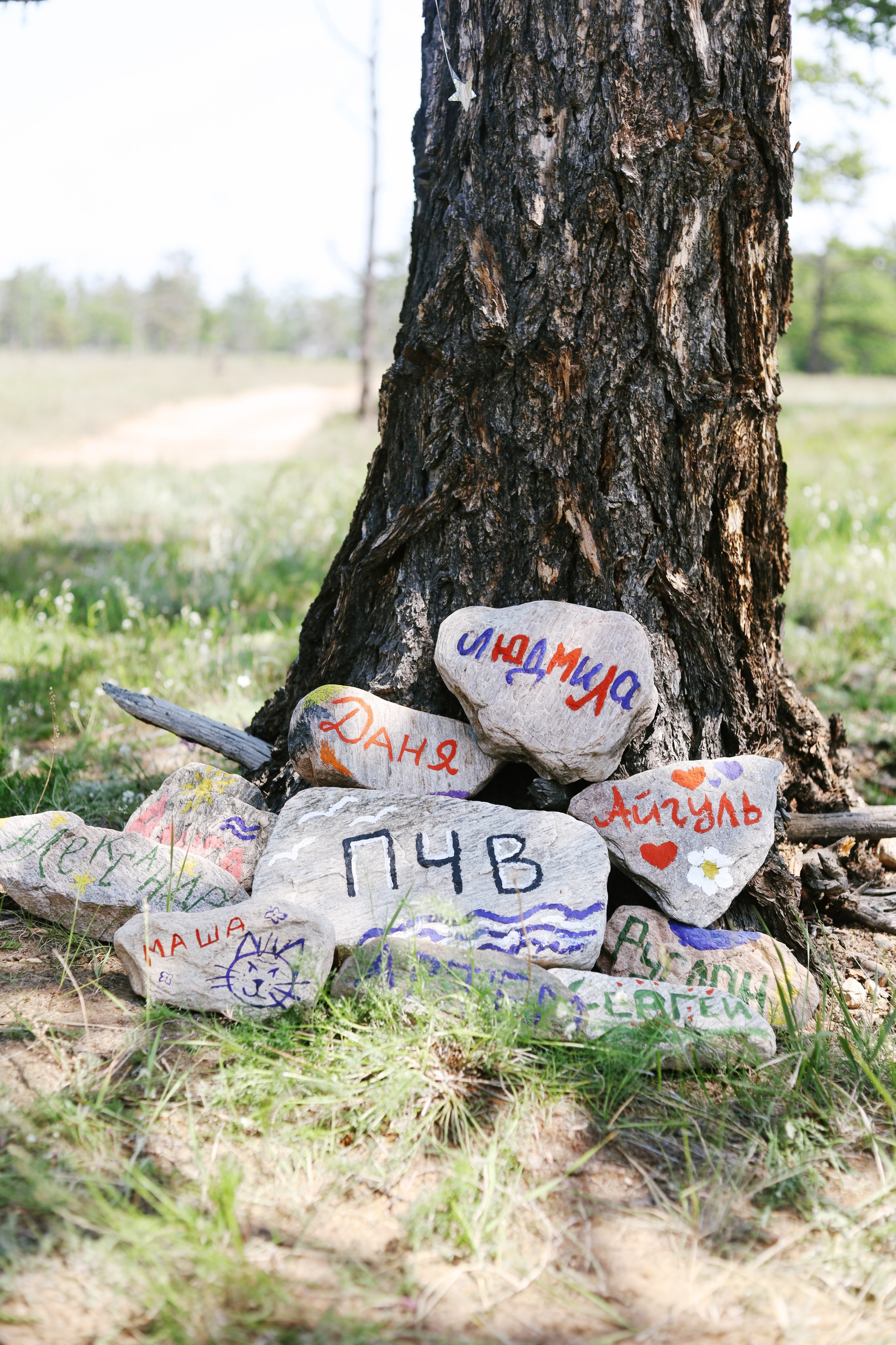 Лето 2024 / палатки. 1642 — первый лагерь для взрослых на Байкале