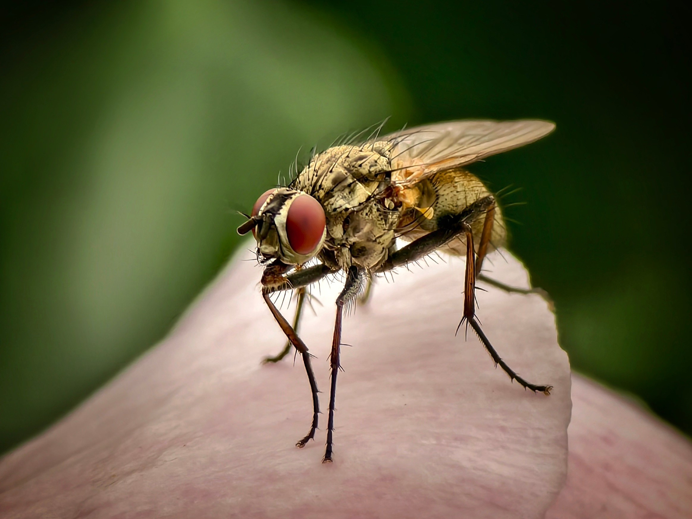 Большое в малом