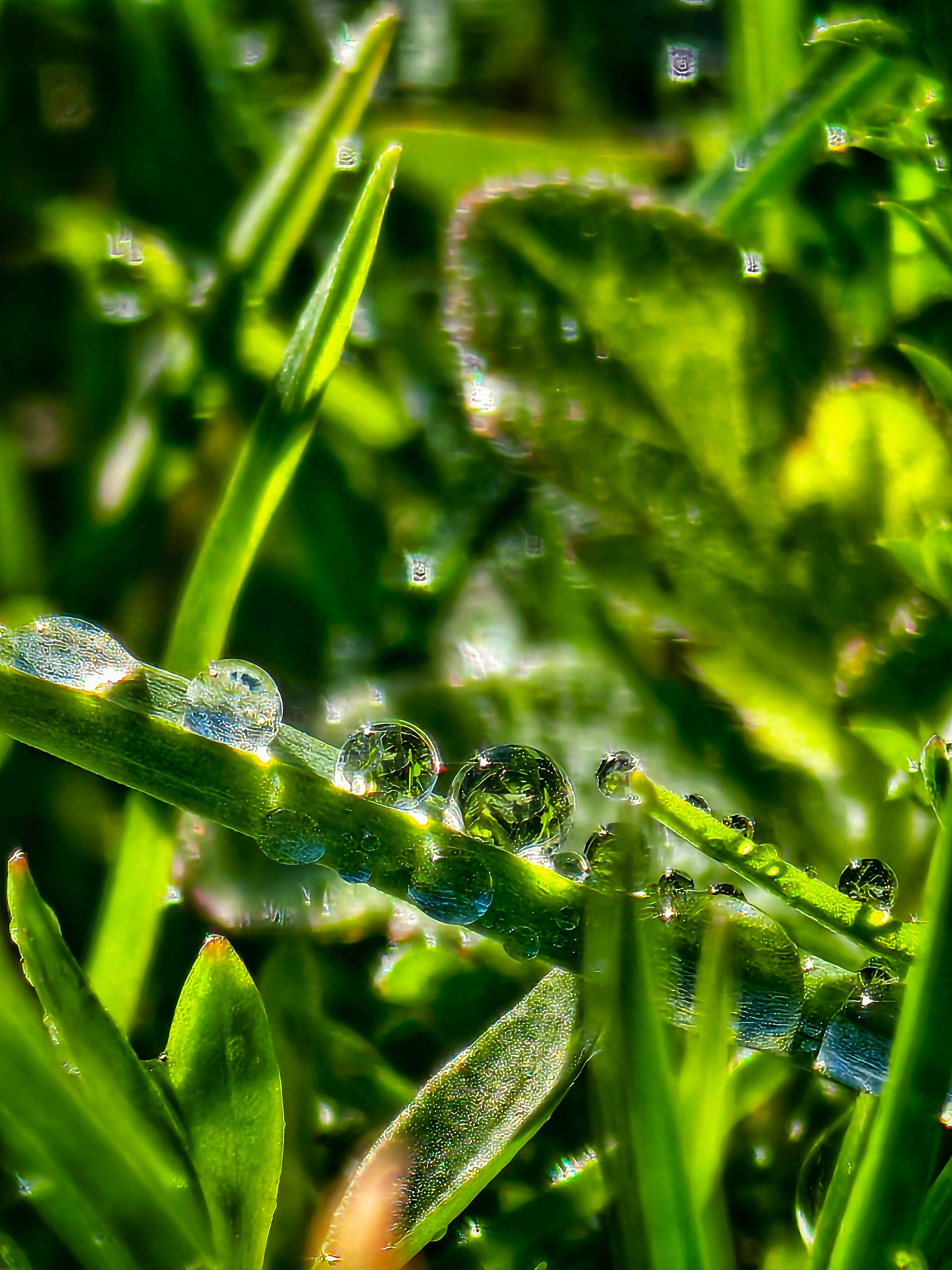 Макрофотографии капель воды: детали дождя, росы и абстракции | Съемка крупным планом