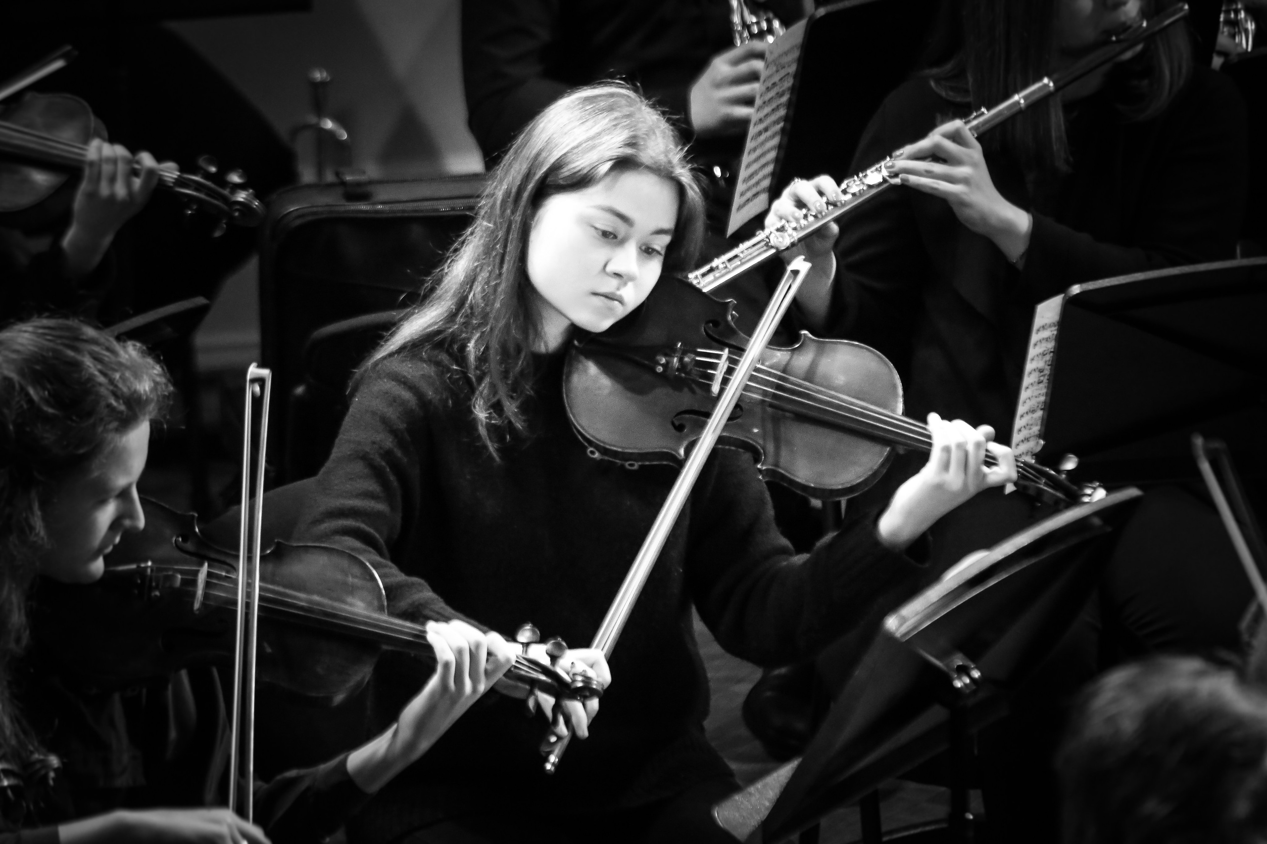 Концерт с Квартетом им. Бородина. Дарья Письменюк / Darya Leitstern — фотограф, музыкант, журналист, путешественник