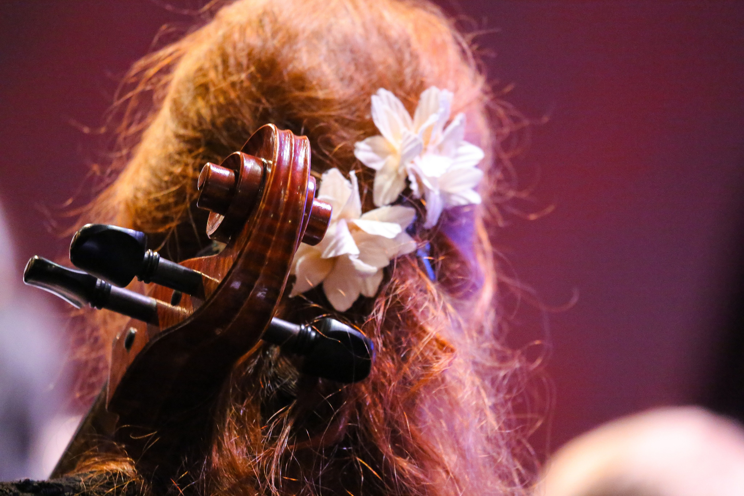 Концерт в Доме музыки к Международному дню борьбы с эпилепсией. Дарья Письменюк / Darya Leitstern — фотограф, музыкант, журналист, путешественник