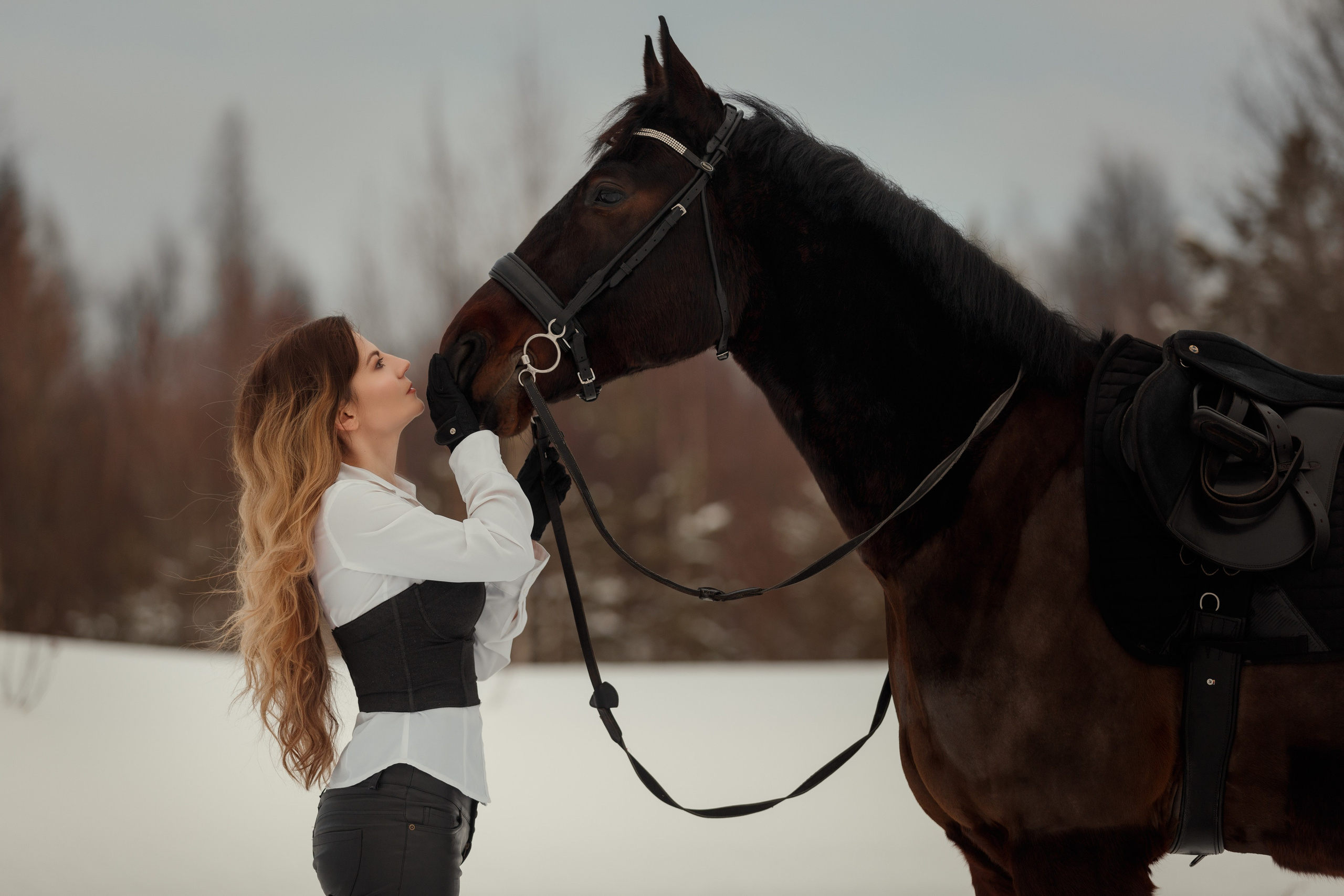 Фотосессии с лошадьми. Фотограф Артемьева Катерина|фотосессии с лошадьми