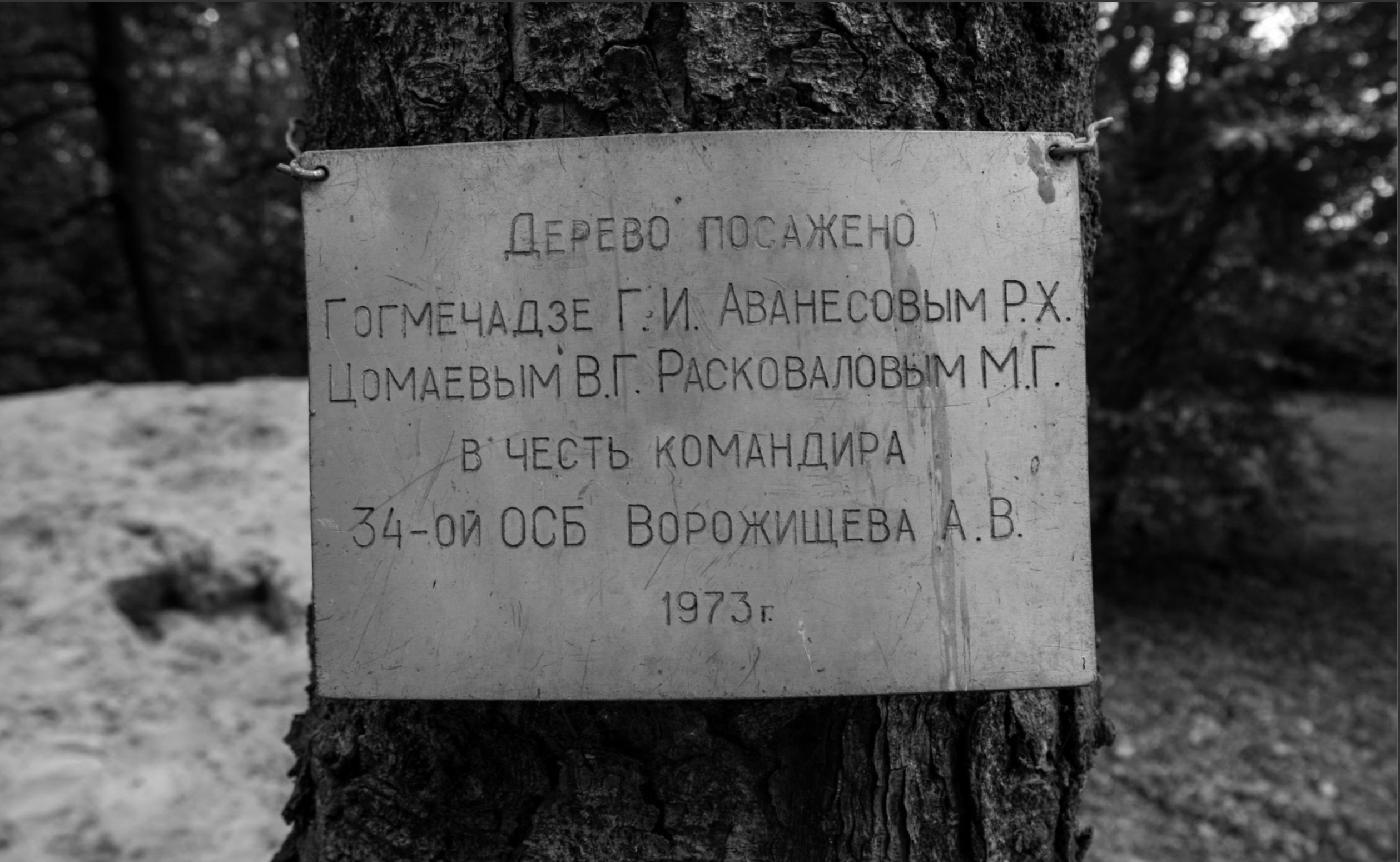 Ничего не было видно и приходилось прислушиваться. Художественная группа «Нежные Бабы»