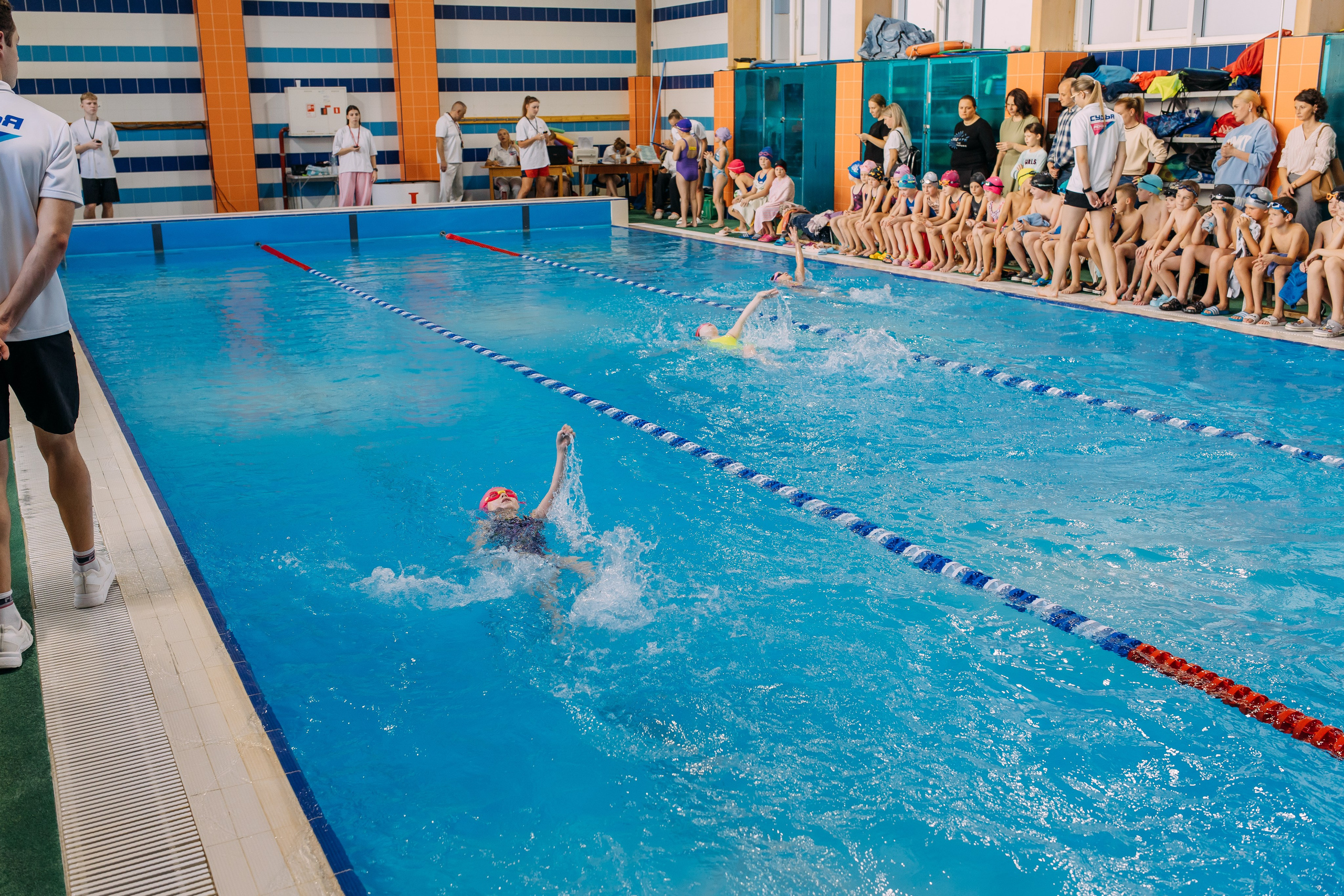 Соревнования по плаванию. Семейный фотограф в Волгограде Надежда Головко