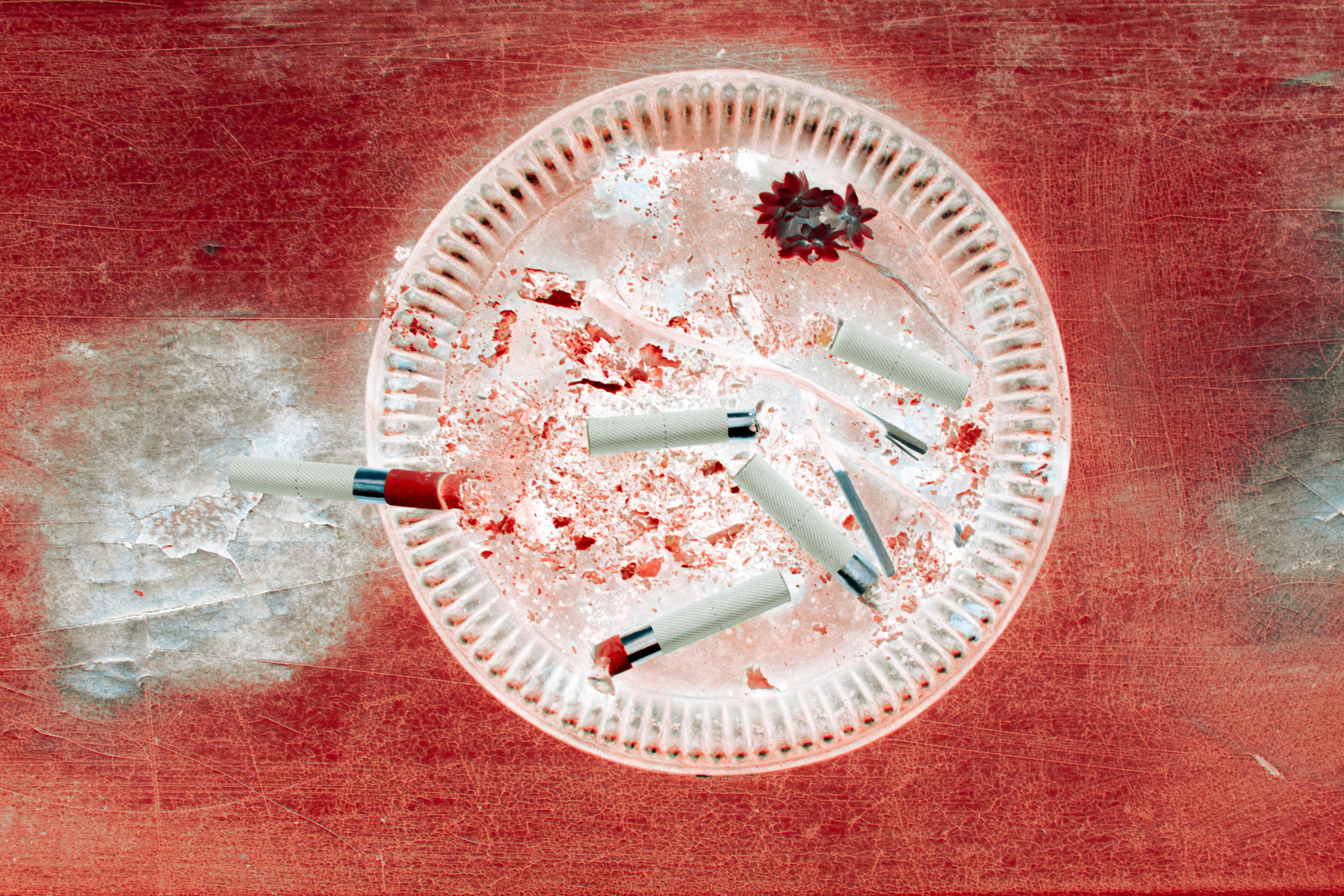 Я буду там, где вечность. Анна Полонеева фотография фотохудожник визуальная художница портреты