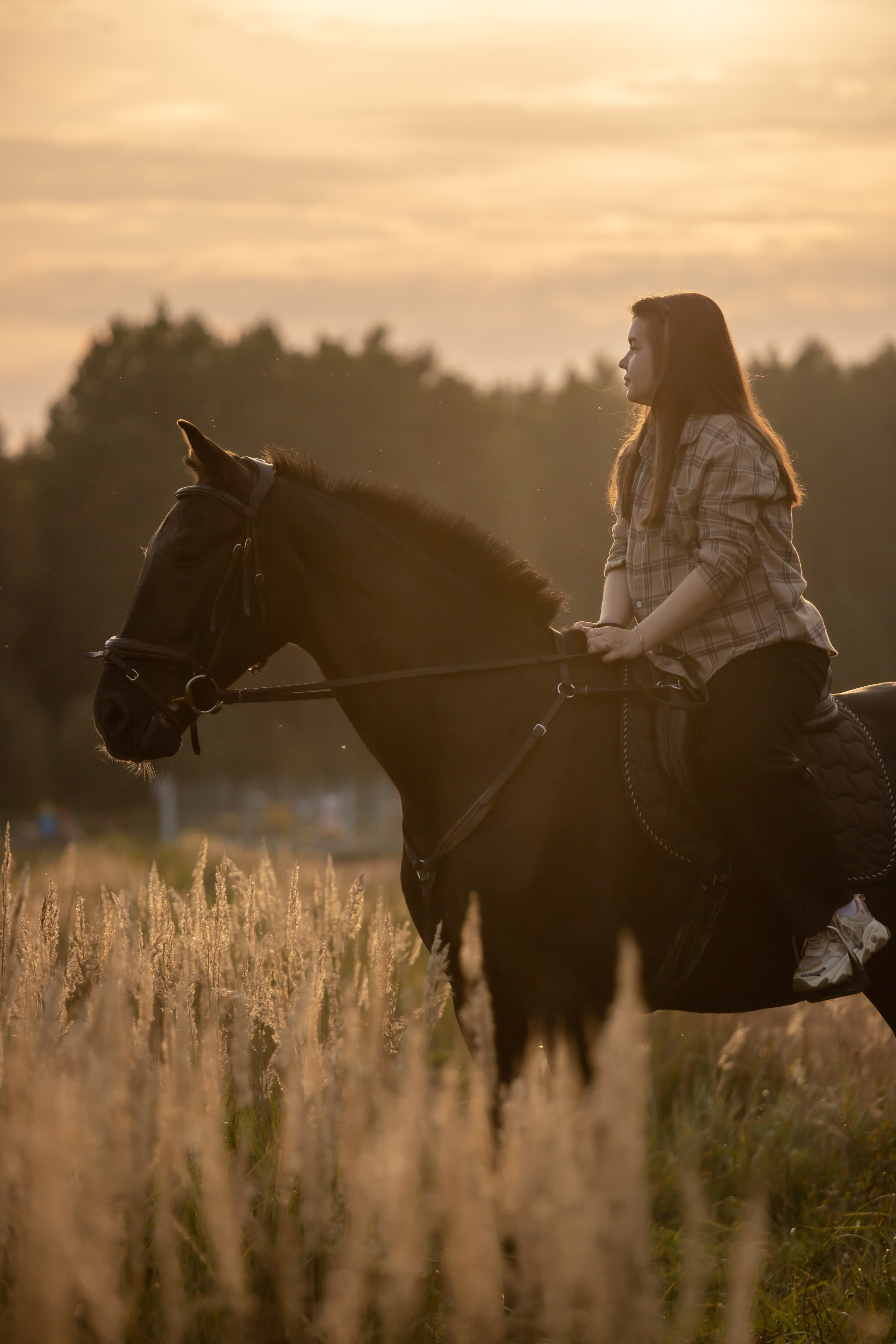 Фотопрогулки с Гороскопом. Конный фотограф в Санкт-Петербурге Анна Лебедева