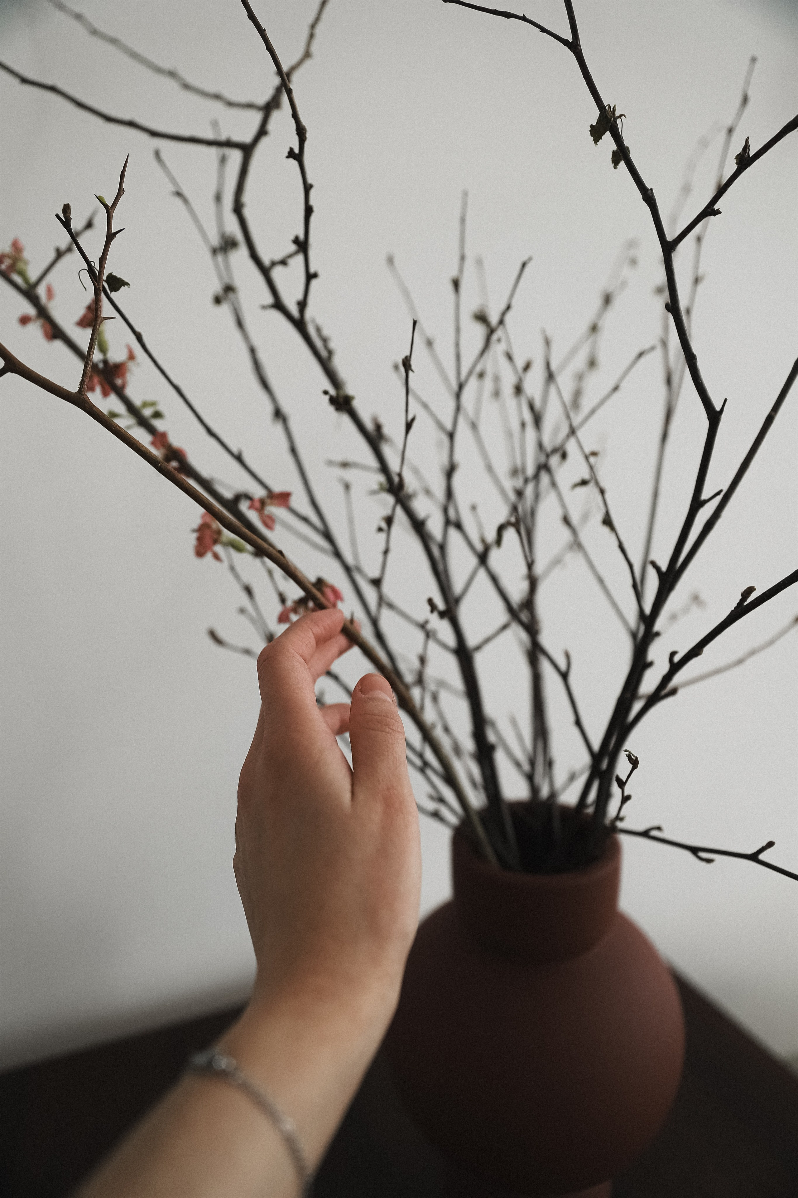 Фотографии в цвете. Главная