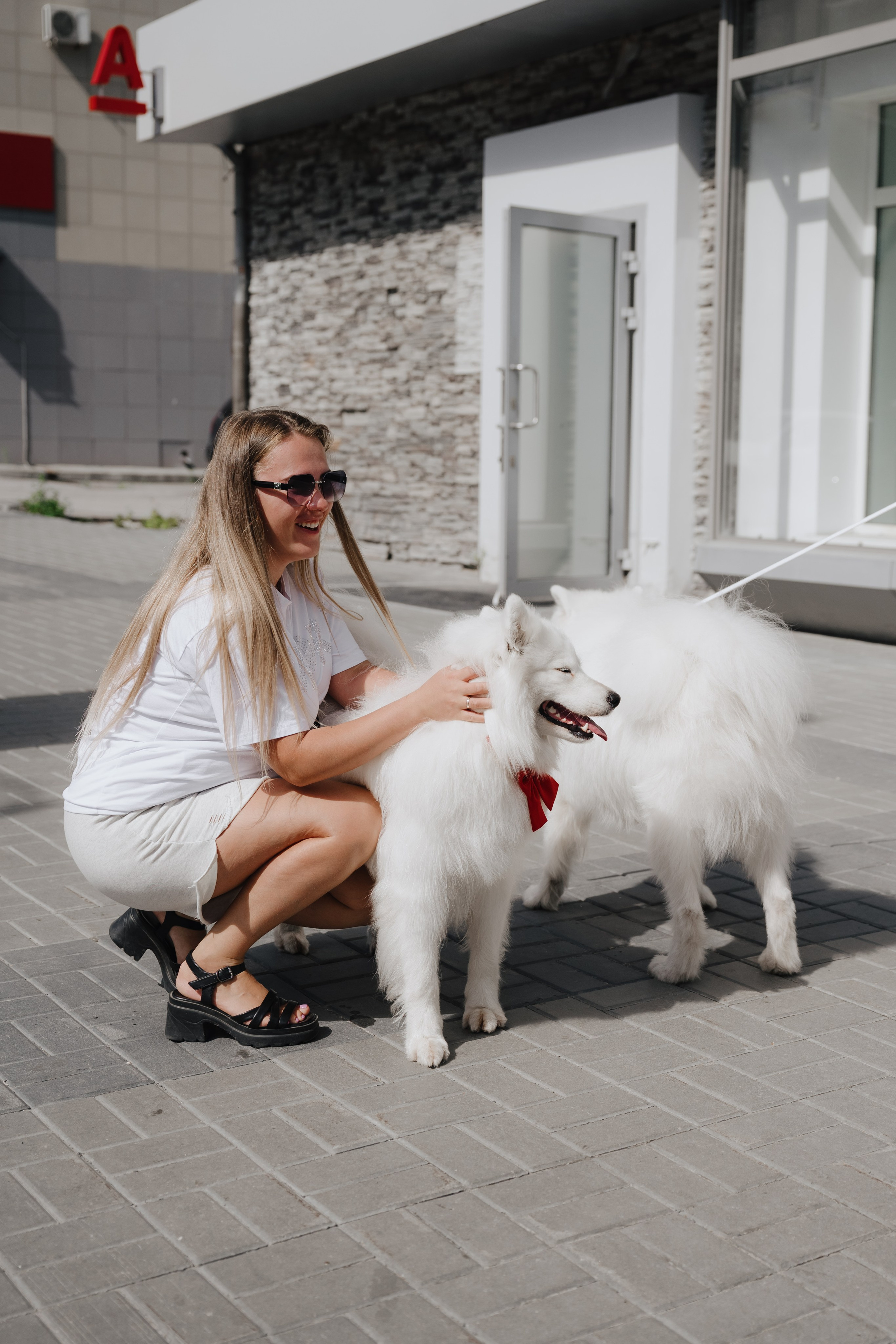 Альфа банк Карла Маркса 55. Фотограф Кристина Тумаева. Самоед Новосибирск