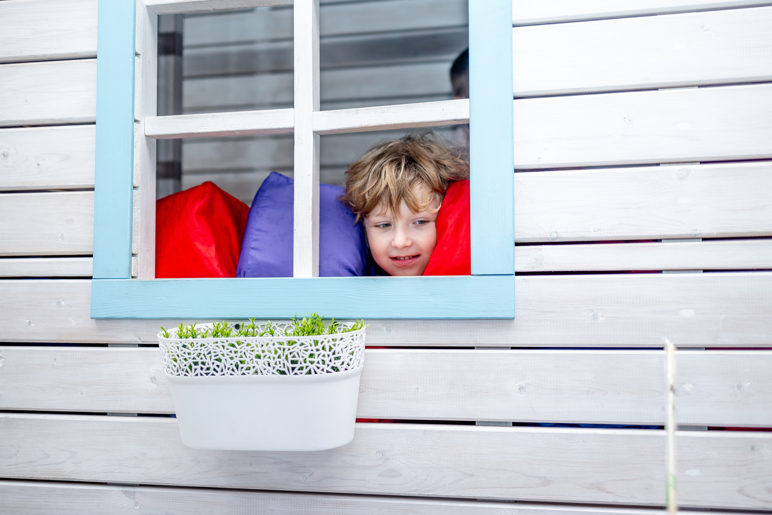 Авокадо. Фотограф Елена Медок Калининград