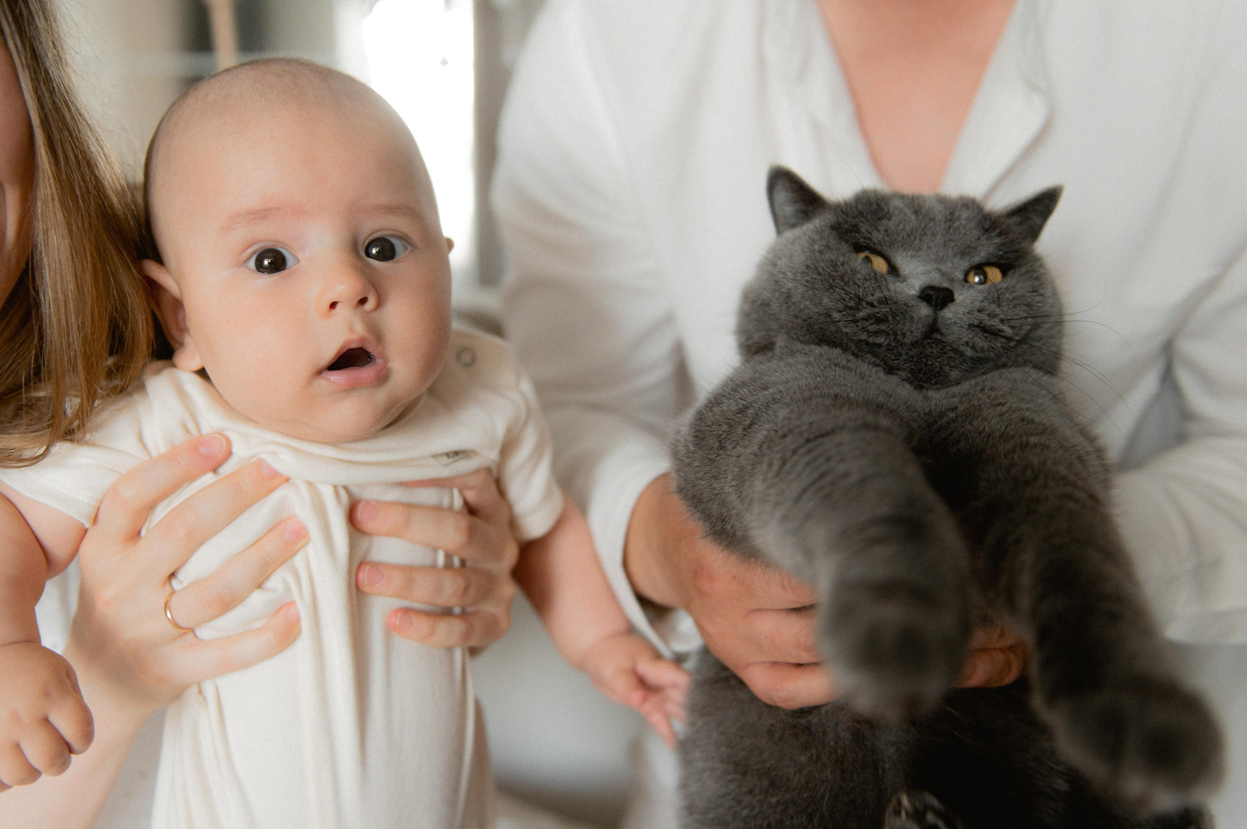 Семейные фотосессии. Фотограф Александр Фомин