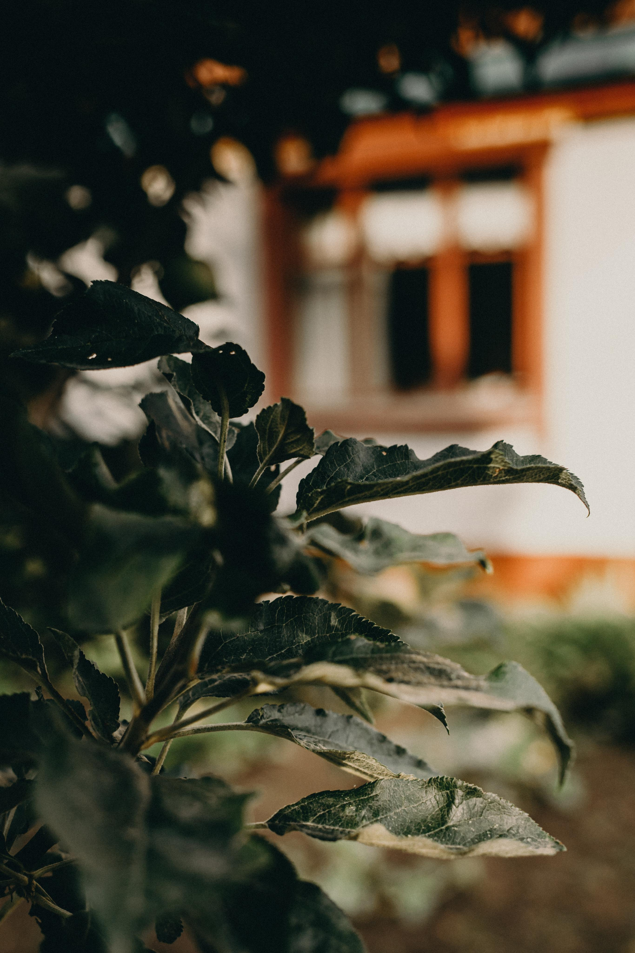 Илья Иванович 90лет. Портретный и семейный фотограф в Саратове Елена Шустова